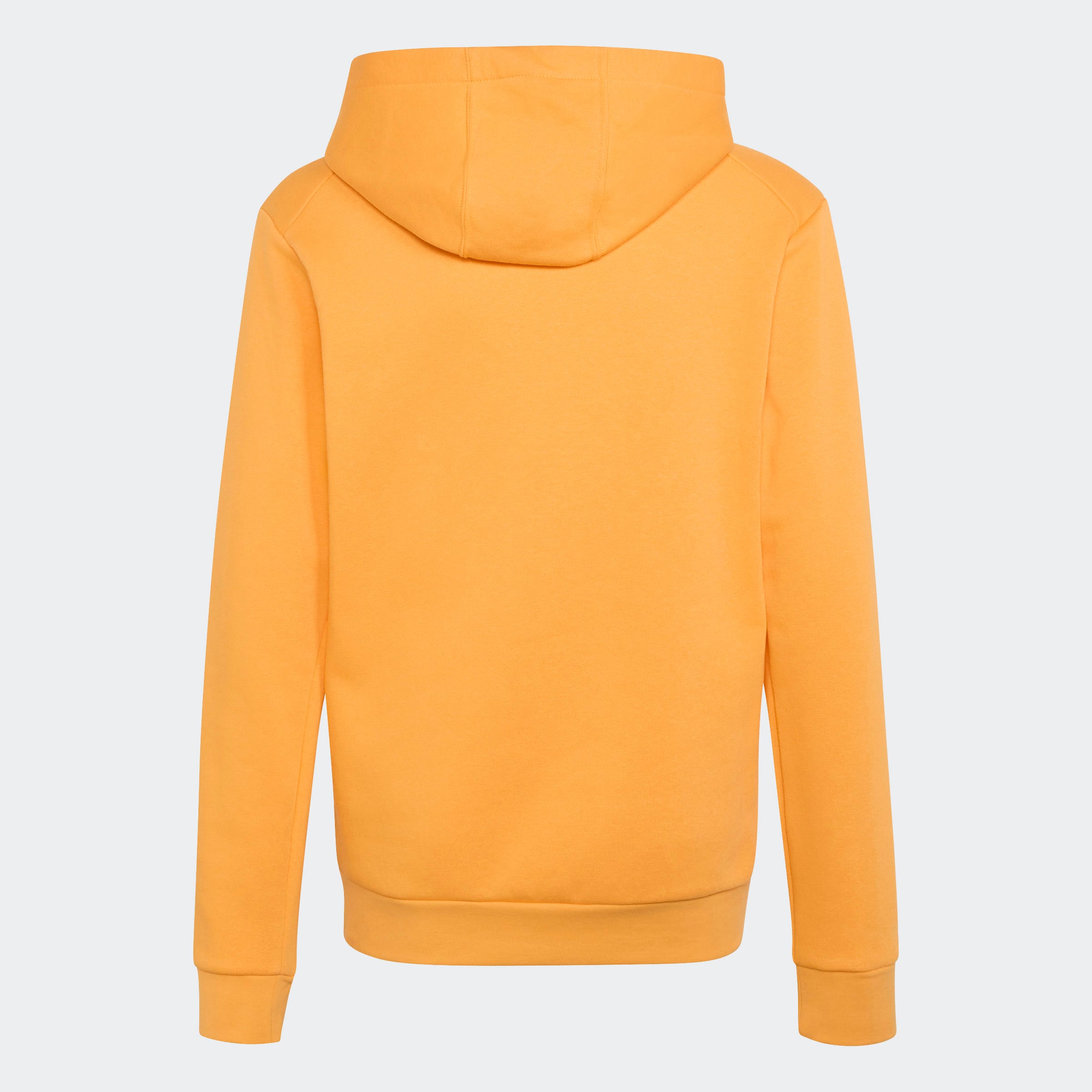 adidas TERREX Sweat à capuche »K MT LOGO HD«
