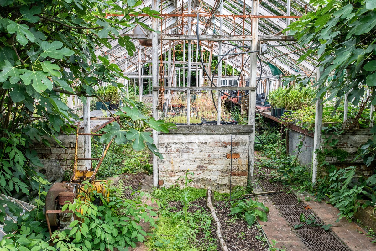 Image of Papermoon Fototapete »Alter Wintergarten«, Vliestapete, hochwertiger Digitaldruck, inklusive Kleister bei Ackermann Versand Schweiz