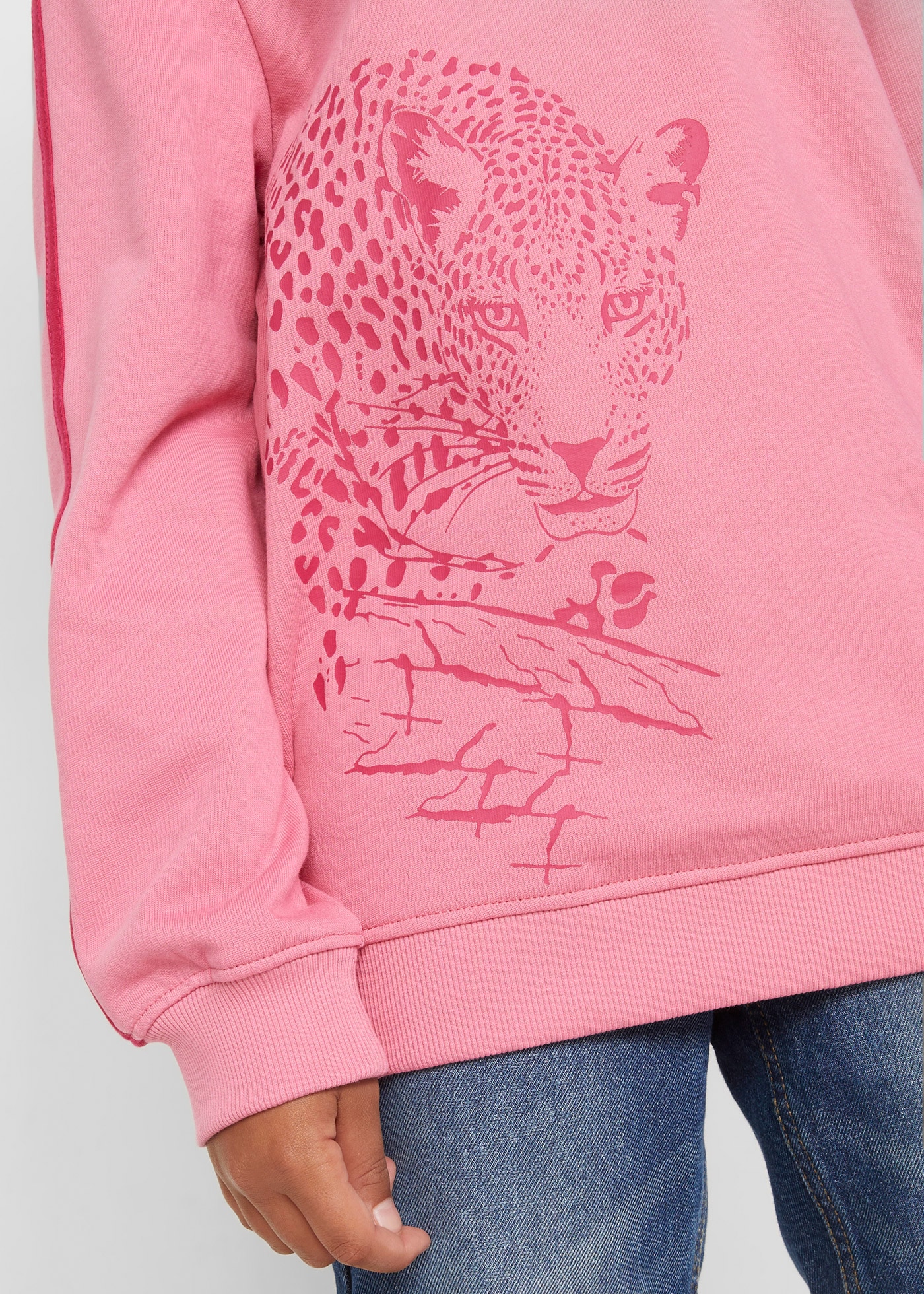 Image of bonprix Kapuzensweatshirt, Regular Fit, mit Tier-Motiv, aus Baumwolle, mit Print