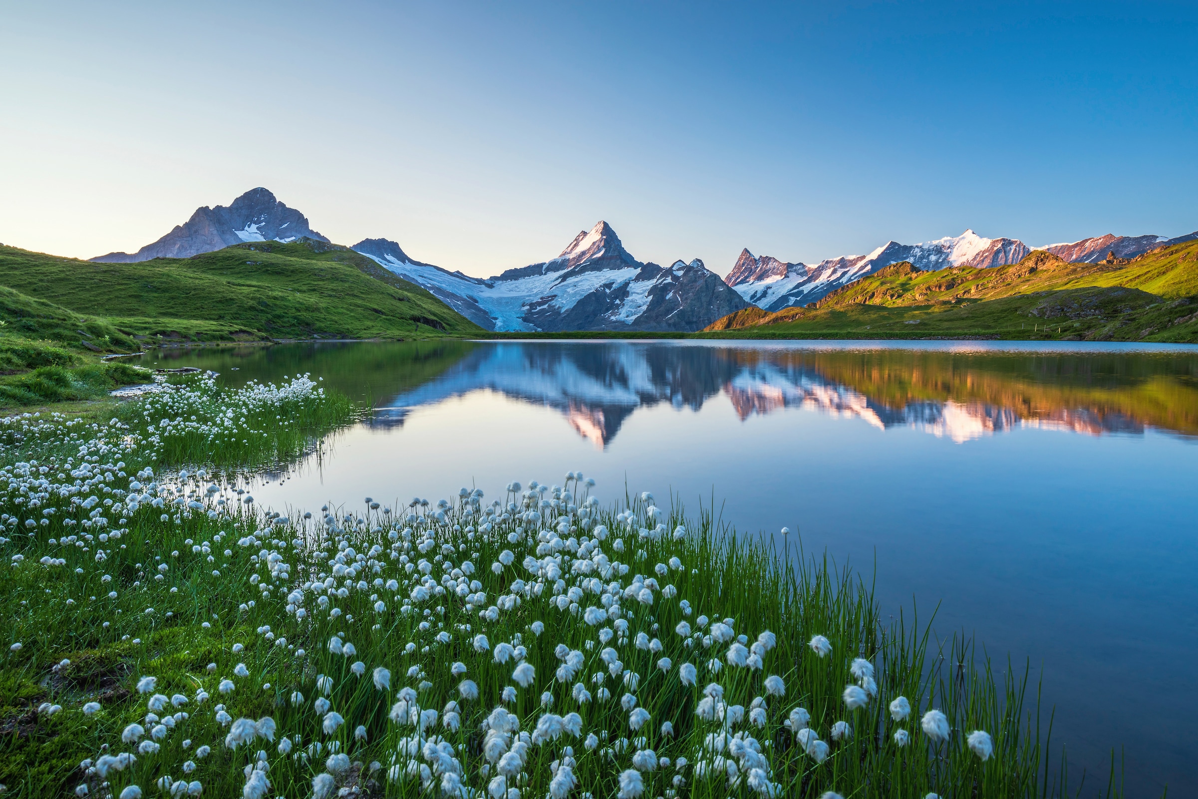 Image of Papermoon Fototapete "LANDSCHAFT-GEBIRGE BERGE SEE ALPEN BLUMEN NATUR TAPETE"