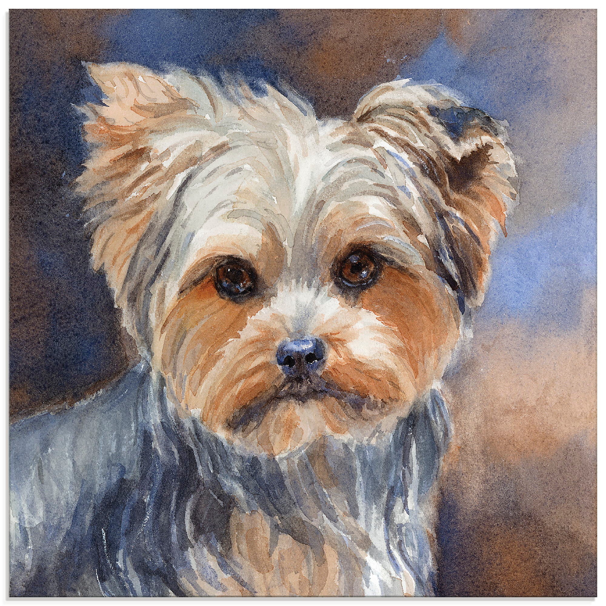 Image of Artland Glasbild »Sadie Belle Yorkshire Terrier«, Haustiere, (1 St.) bei Ackermann Versand Schweiz