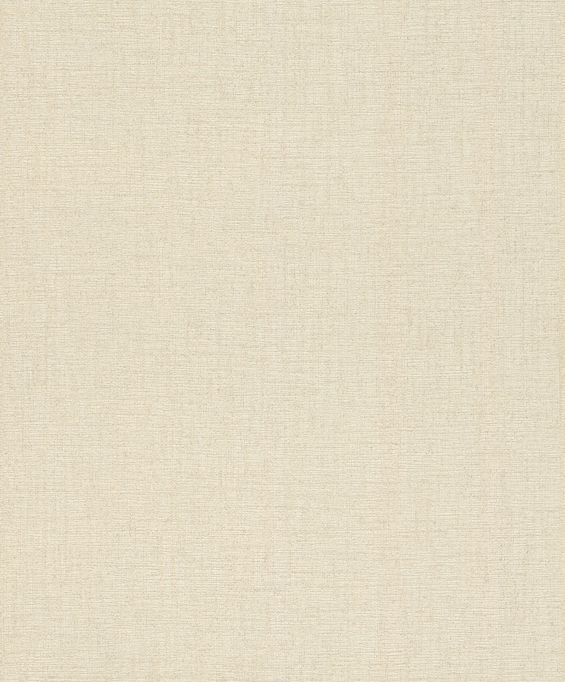 Image of Rasch Vliestapete »Andy Wand«, uni-Metall-Effekte, gut lichtbeständig, hochwaschbeständig bei Ackermann Versand Schweiz