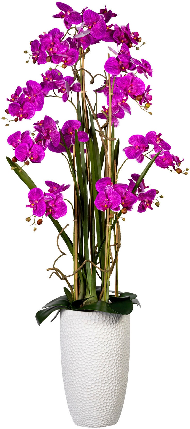 Creativ green Kunstorchidee »Deko-Orchidee Keramiktopf« im Phalaenopsis XXL kaufen