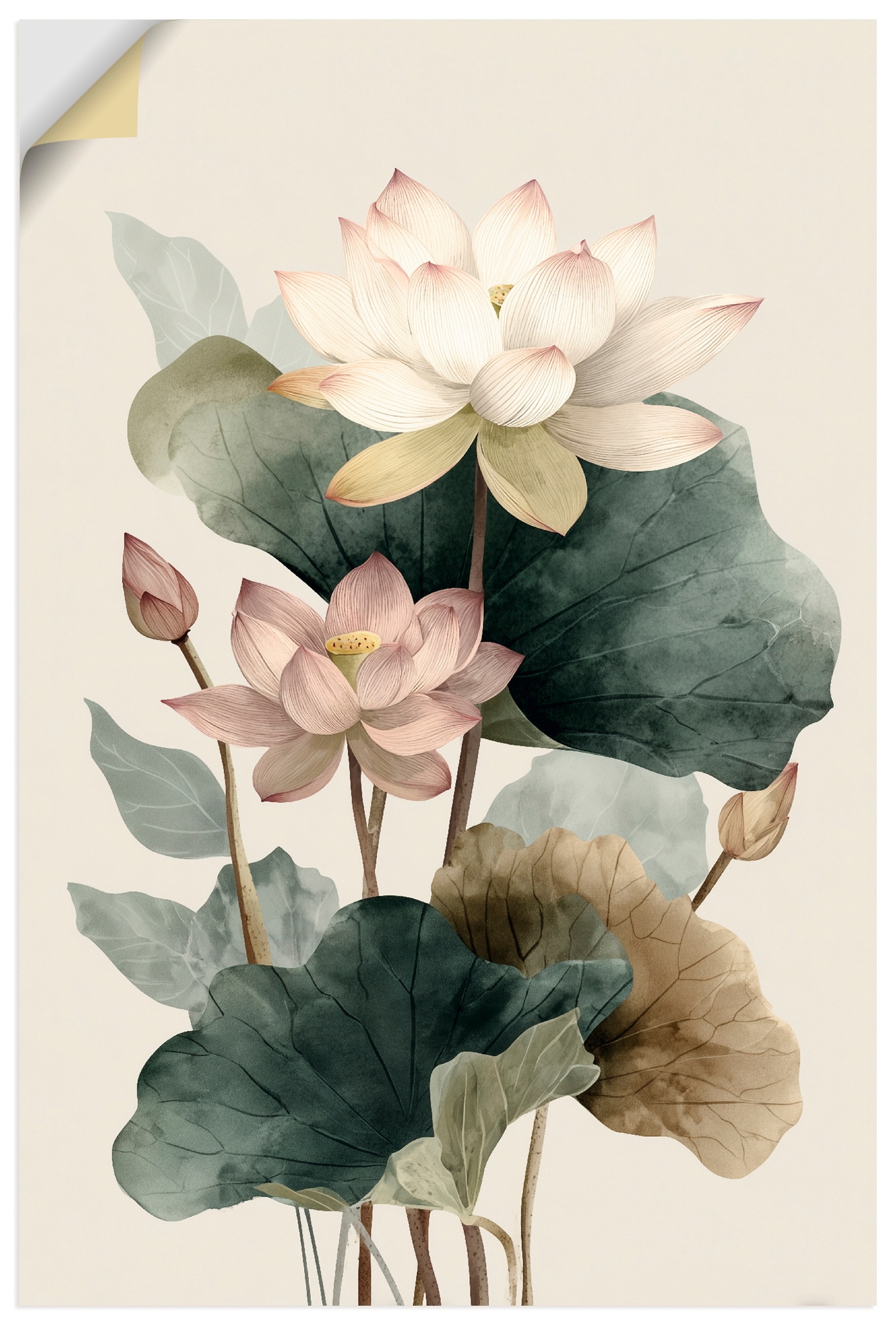 Image of Artland Wandbild "Lotus" Blumenbilder 1 Stk. tlg. als Alubild, Leinwandbild, Poster, Wandaufkleber in verschied. Grössen