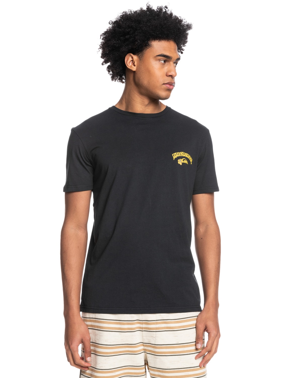 Image of Quiksilver T-Shirt »Scenic Warp« bei Ackermann Versand Schweiz