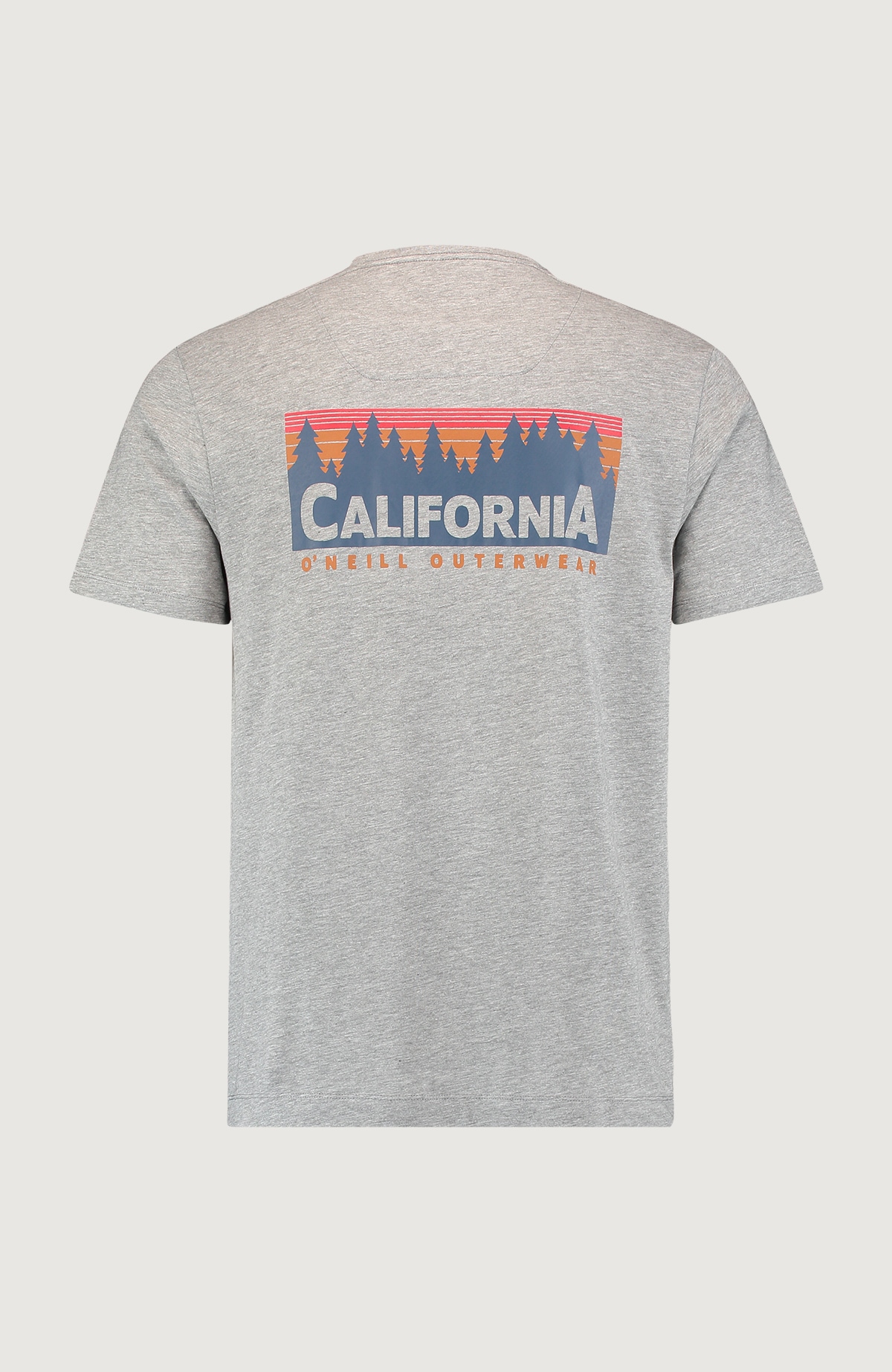O'Neill T-Shirt »"Rocky Mountains"«