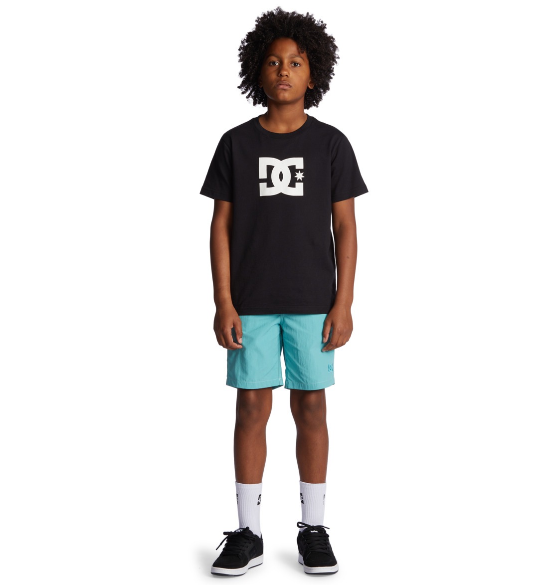 DC Shoes Shorts »Wayford«