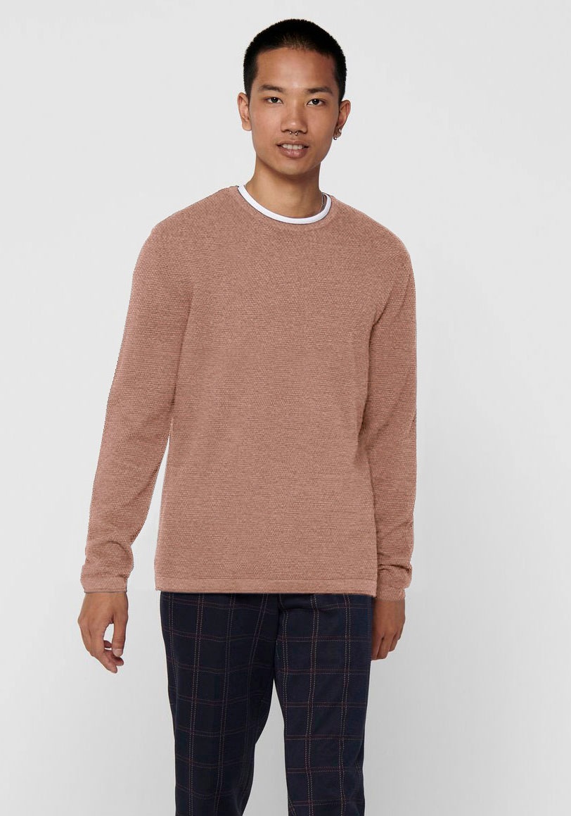 Image of ONLY & SONS Rundhalspullover »PANTER 12 STRUC CREW NECK KNIT« bei Ackermann Versand Schweiz