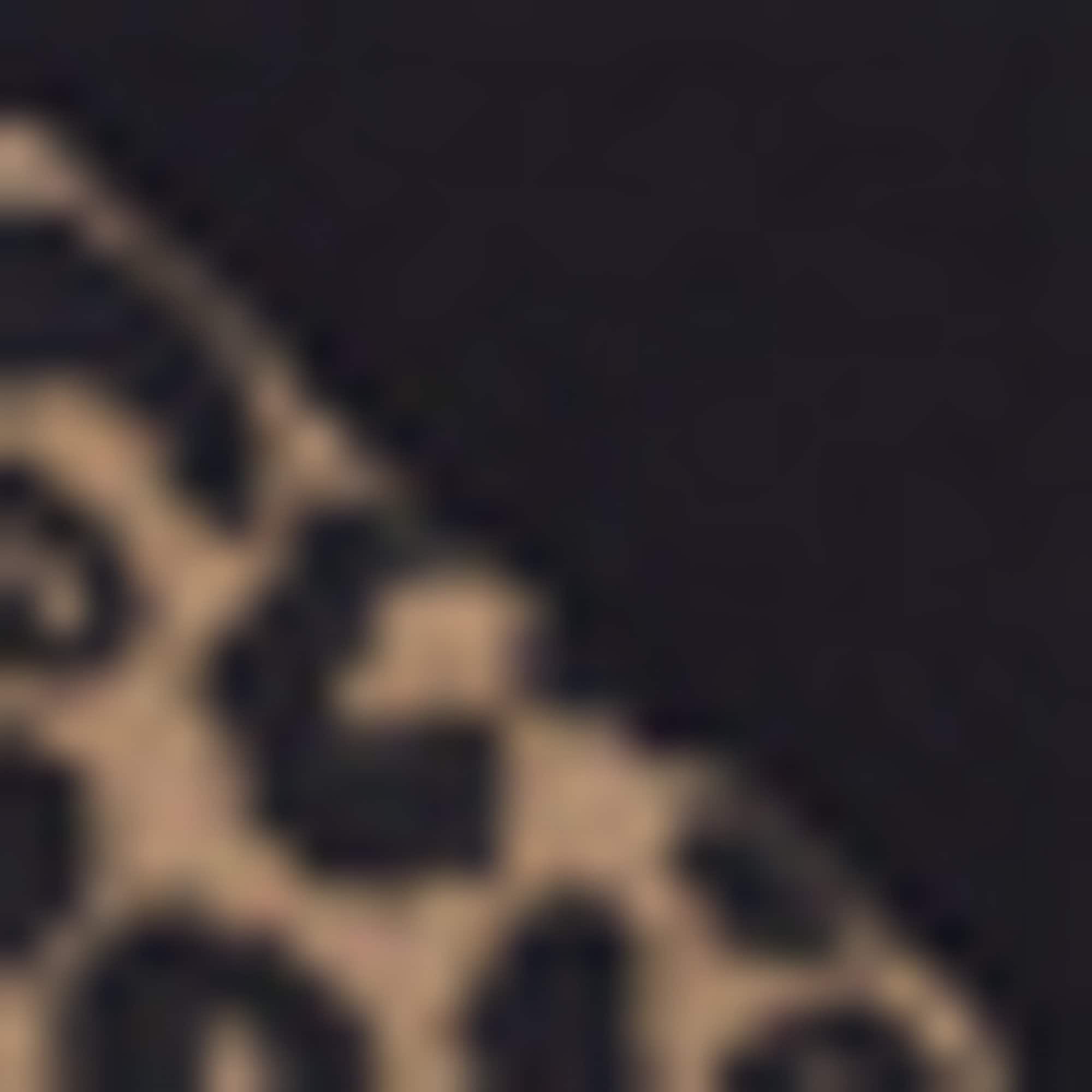 HUGO Underwear Chaussettes de baskets »2P AS LEO LOGO« 2 Couple tlg. modisch, elastisch