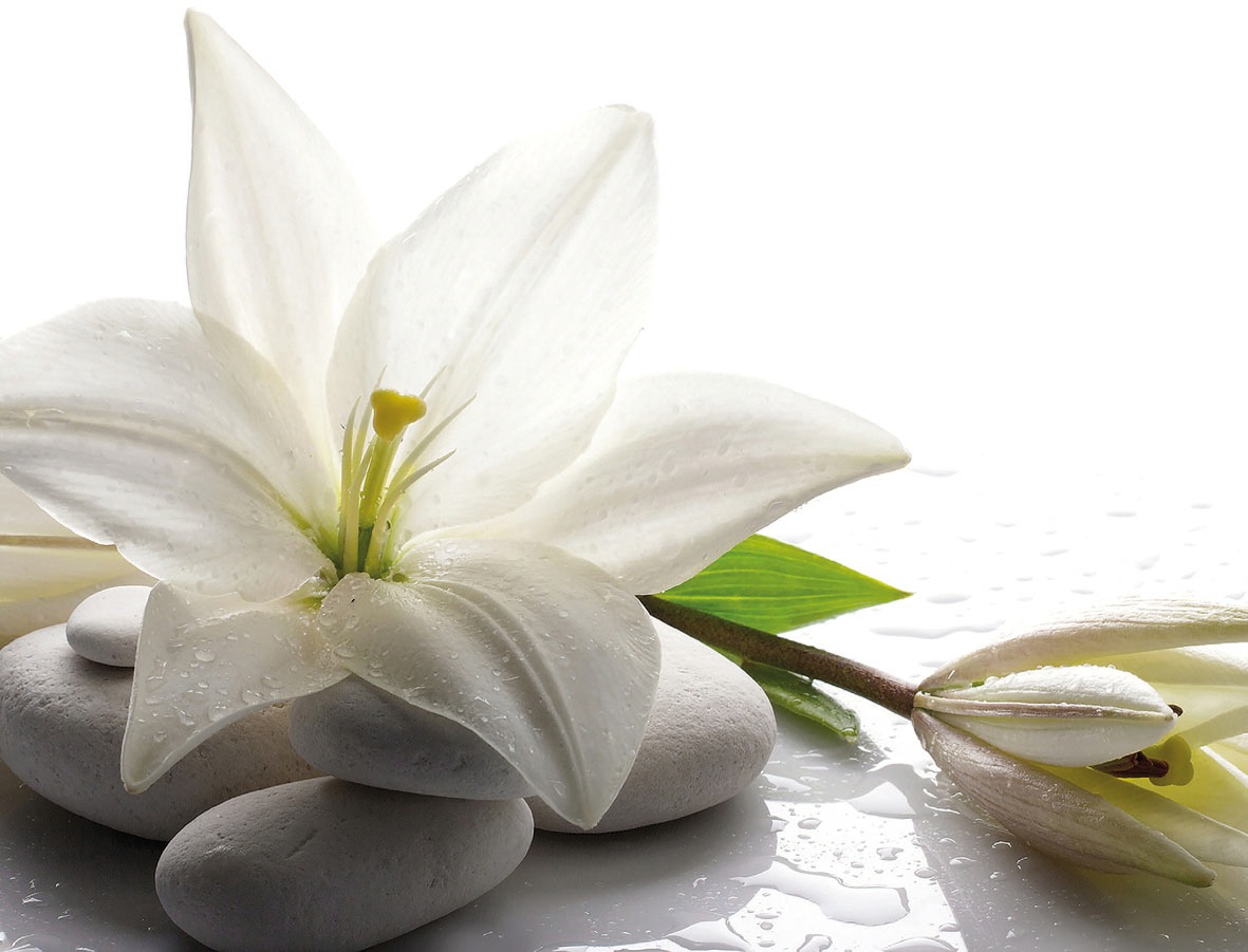 Image of Bönninghoff Glasbild »weisse Lilie & Spa- Steine«, (1 St.) bei Ackermann Versand Schweiz