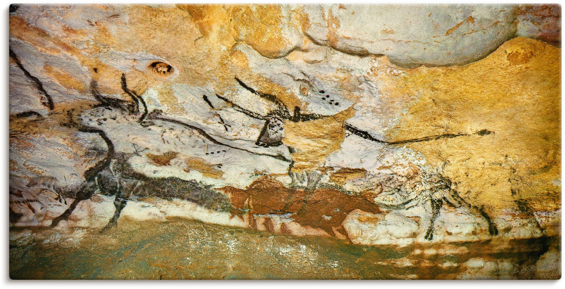 Image of Artland Wandbild »Höhle von Lascaux Stiere«, Wildtiere, (1 St.), in vielen Grössen & Produktarten -Leinwandbild, Poster, Wandaufkleber / Wandtattoo auch für Badezimmer geeignet bei Ackermann Versand Schweiz