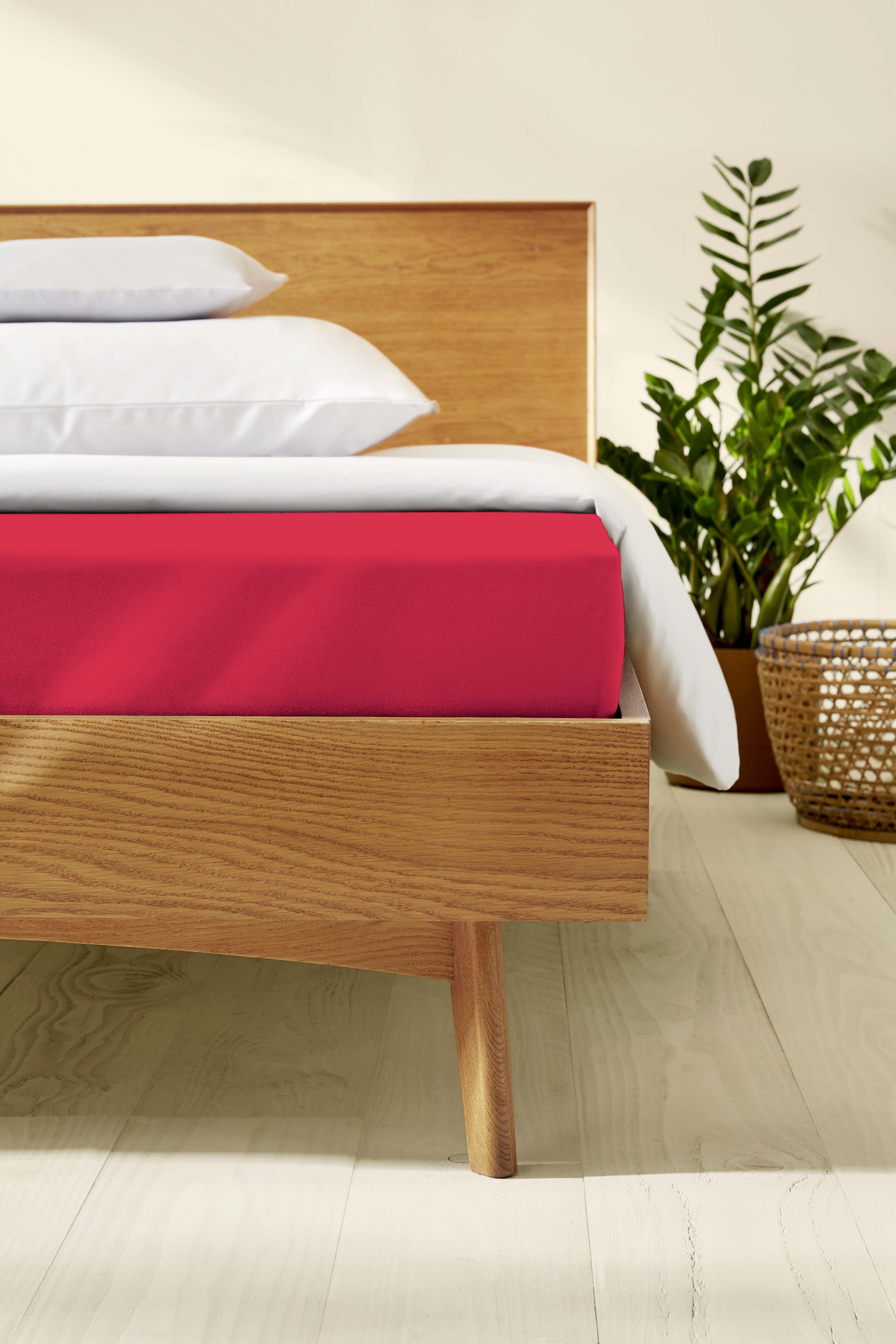Kaeppel »Single Jersey Mako Cotton« Bettlaken aus 100% Baumwolle