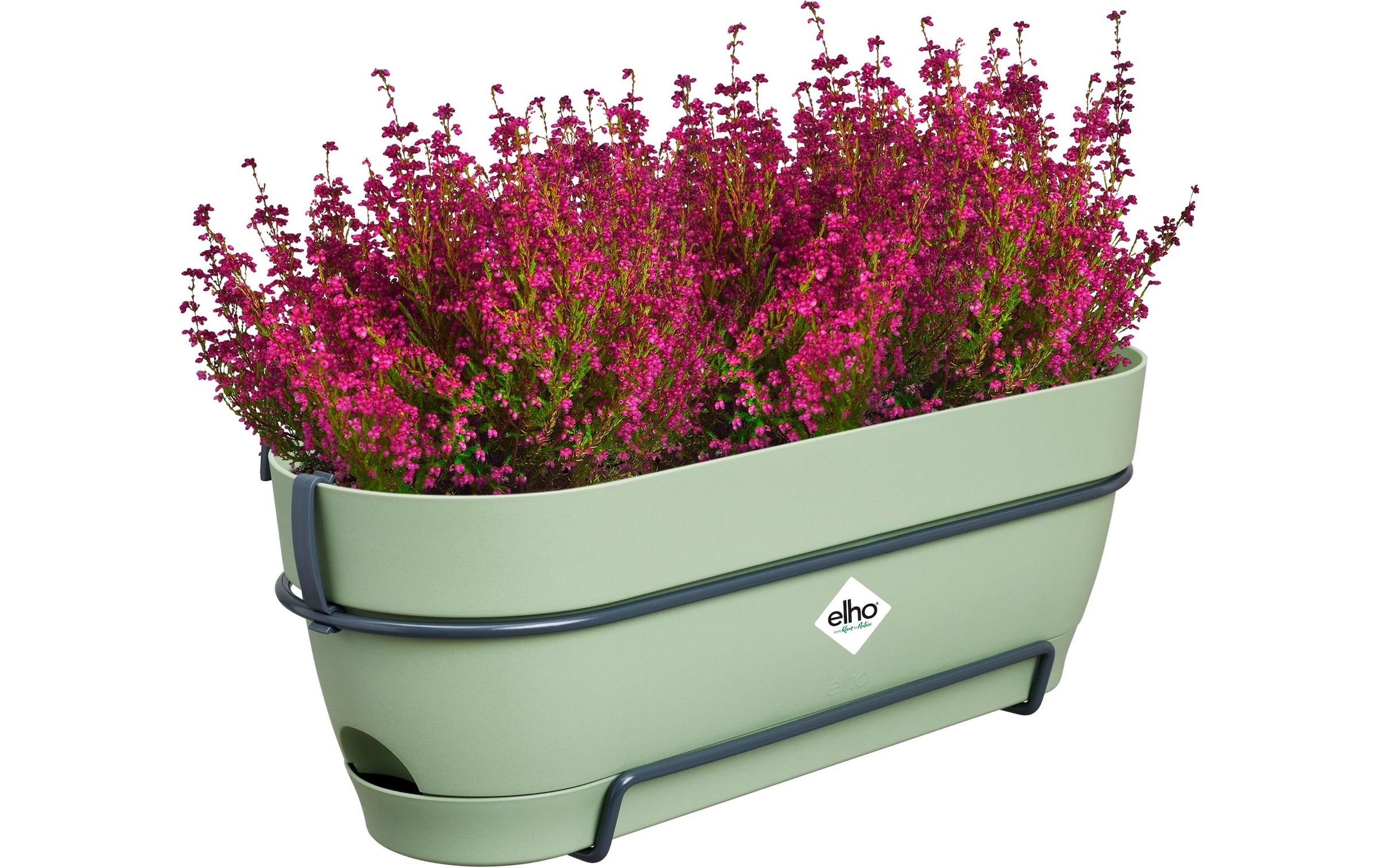 Elho Blumentopf »Vibia Campana Balkonkasten Allin1 50 cm«