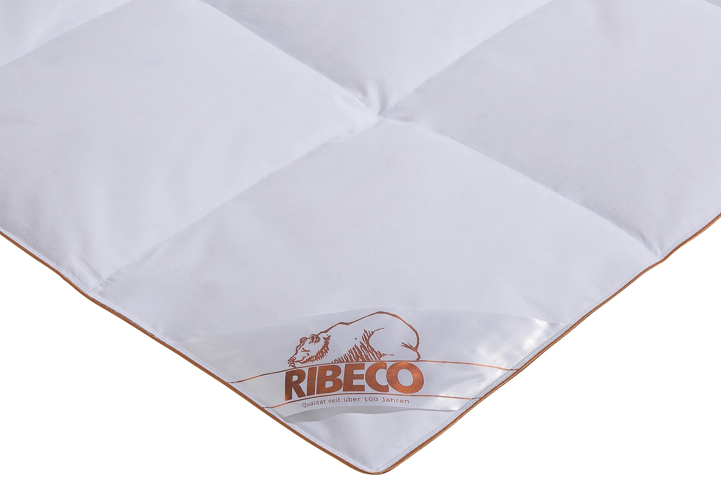RIBECO Daunenbettdecke »Ella« leicht Füllung 90% Daunen & 10% Federn 1 Stk. tlg. Daunendecke zum Top-Preis