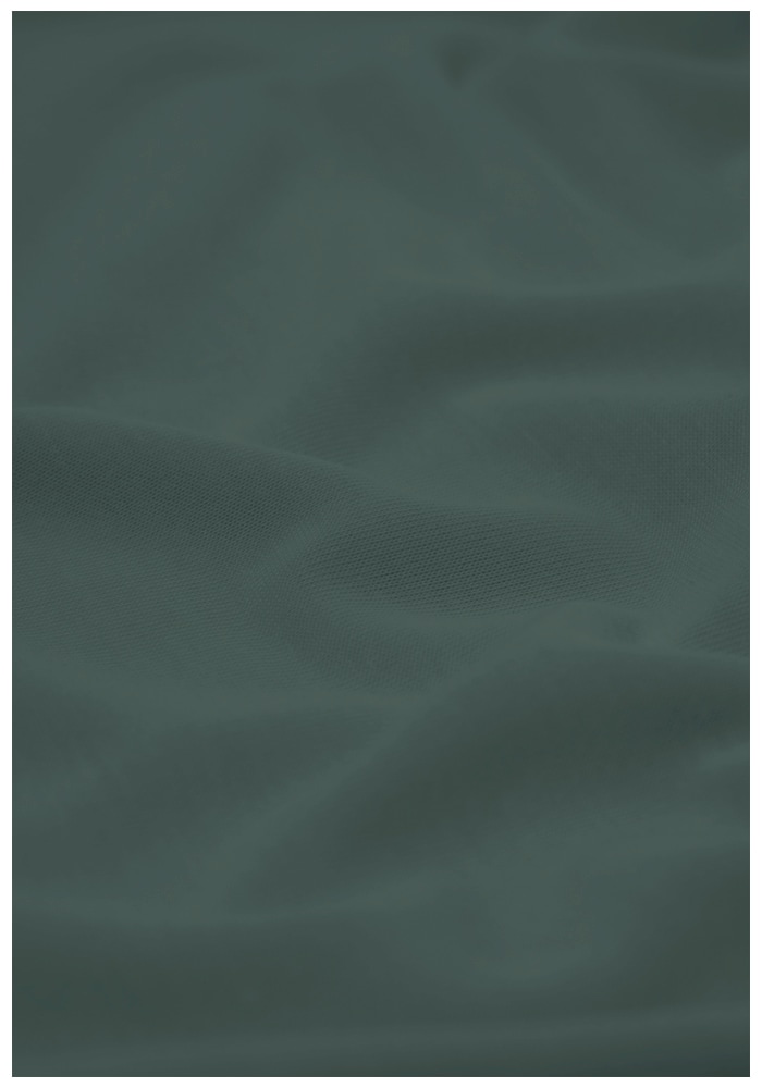 Jack Wolfskin T-shirt fonctionnel »VONNAN S/S T W«