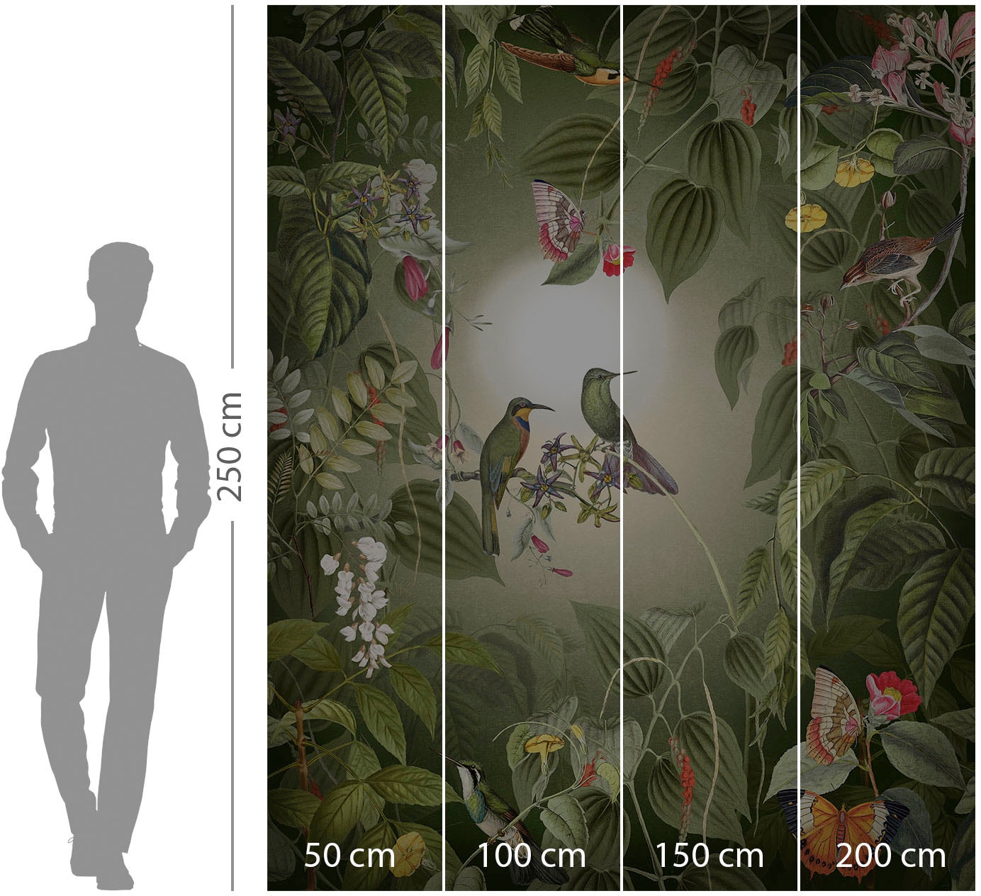 Komar Papier peint intissé »Digitaldruck Vlies -  Wildlife Birds - Grösse 200 x 250 cm« imprimé Wohnzimmer, Schlafzimmer