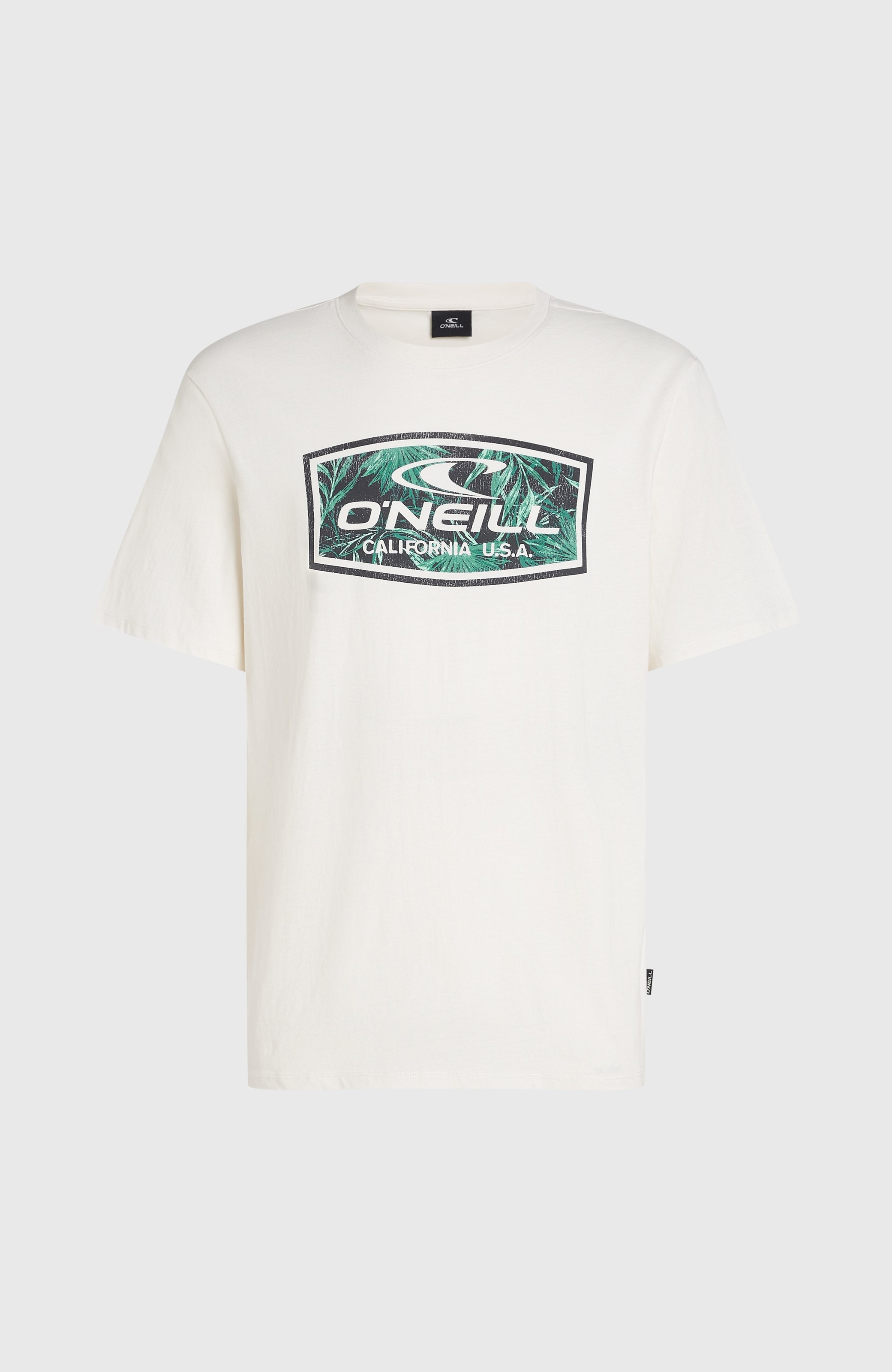 O'Neill T-Shirt »O'NEILL GRAPHIC T-SHIRT«, (1 tlg.)