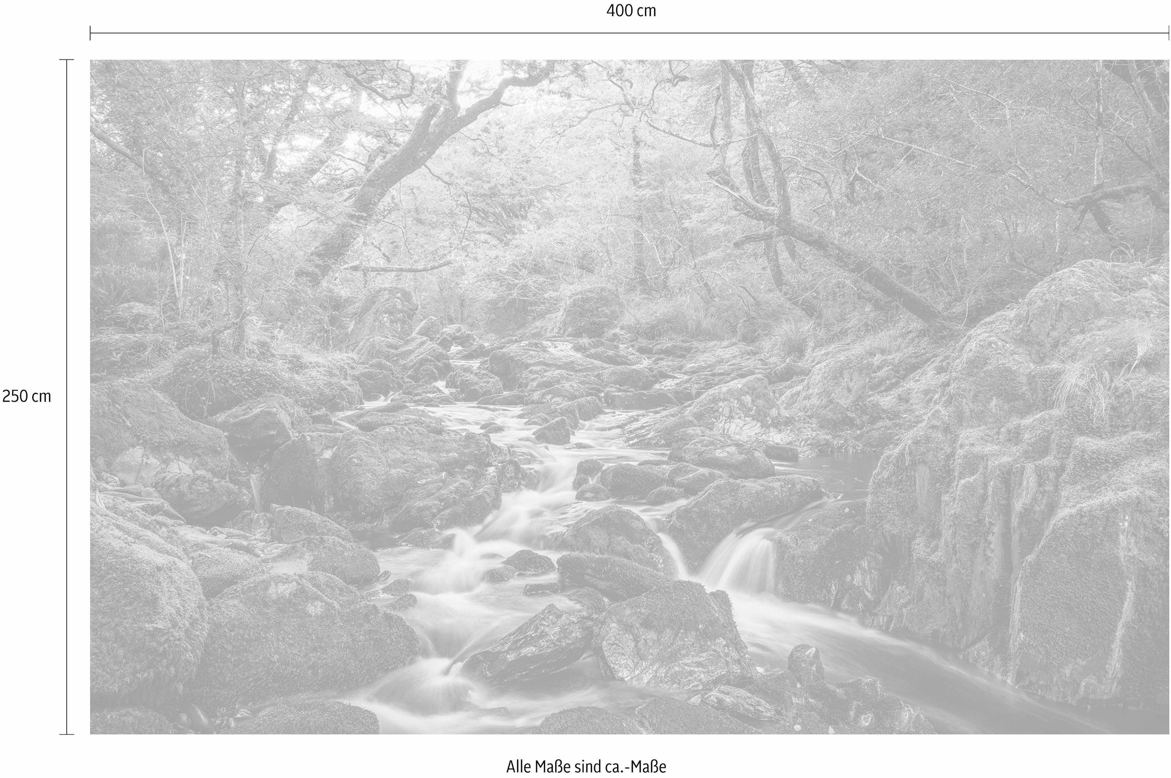 Komar Vliestapete »Digitaldruck Vlies -  Green Tales - Grösse 400 x 250 cm« bedruckt glatt Wohnzimmer, Schlafzimmer