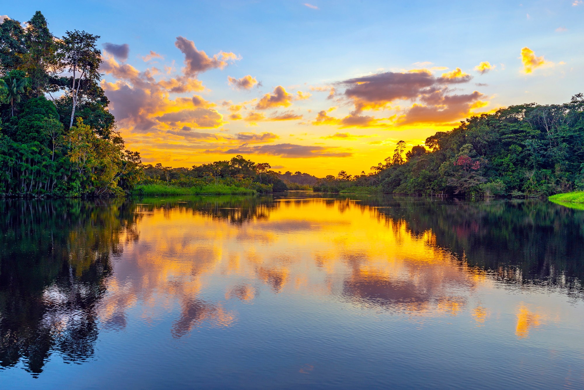 Fototapete »REGENWALD-AMAZONAS WALD LAGUNE SONNENMUNTERGANG FLUSS«