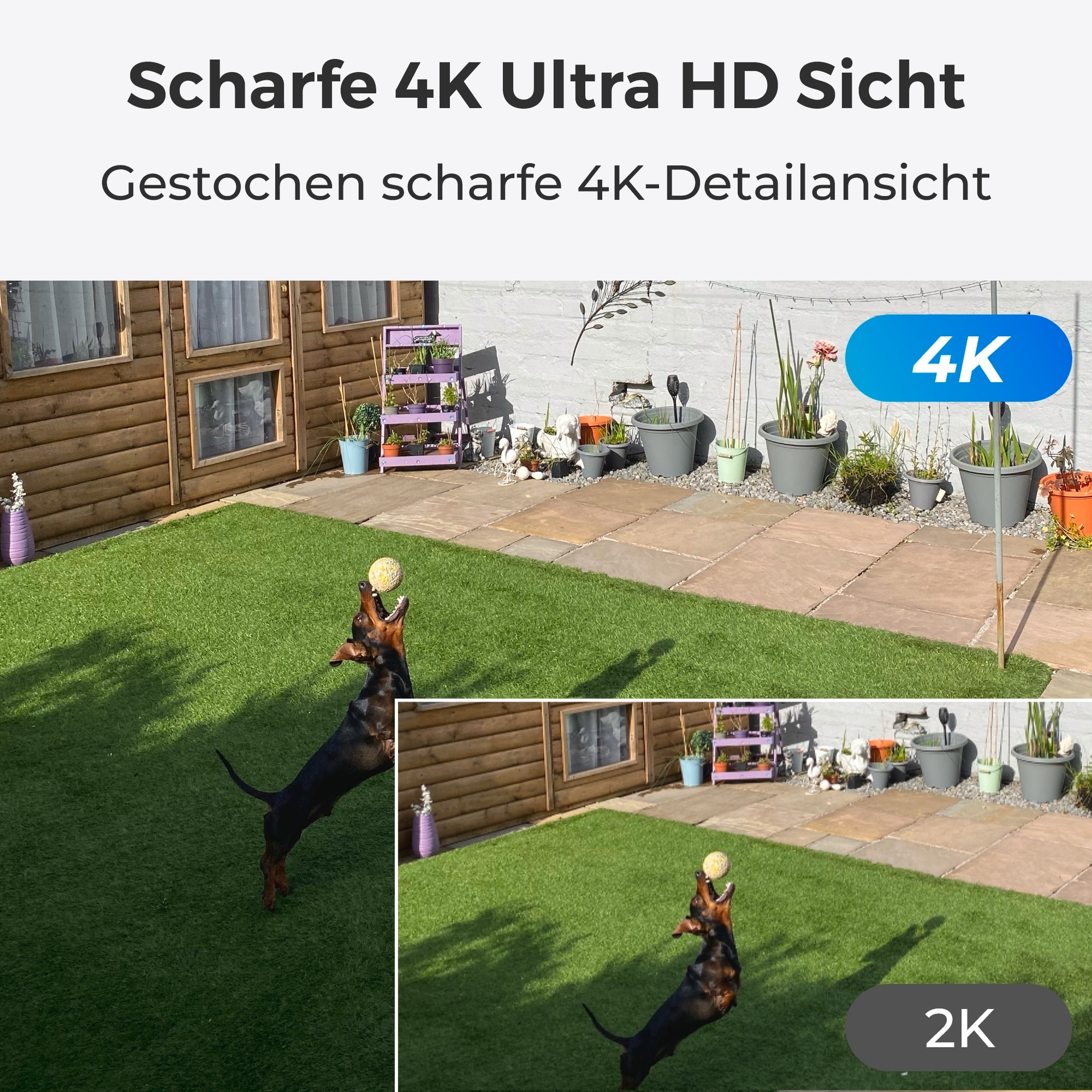 Reolink Überwachungskamera »NVS8-8MD4 - 4K UHD Sicherheitssystem, 8-Kanal NVR«, Aussenbereich, 30m scharfe Nachtsicht, 24/7 Aufnahme, intelligente Erkennung