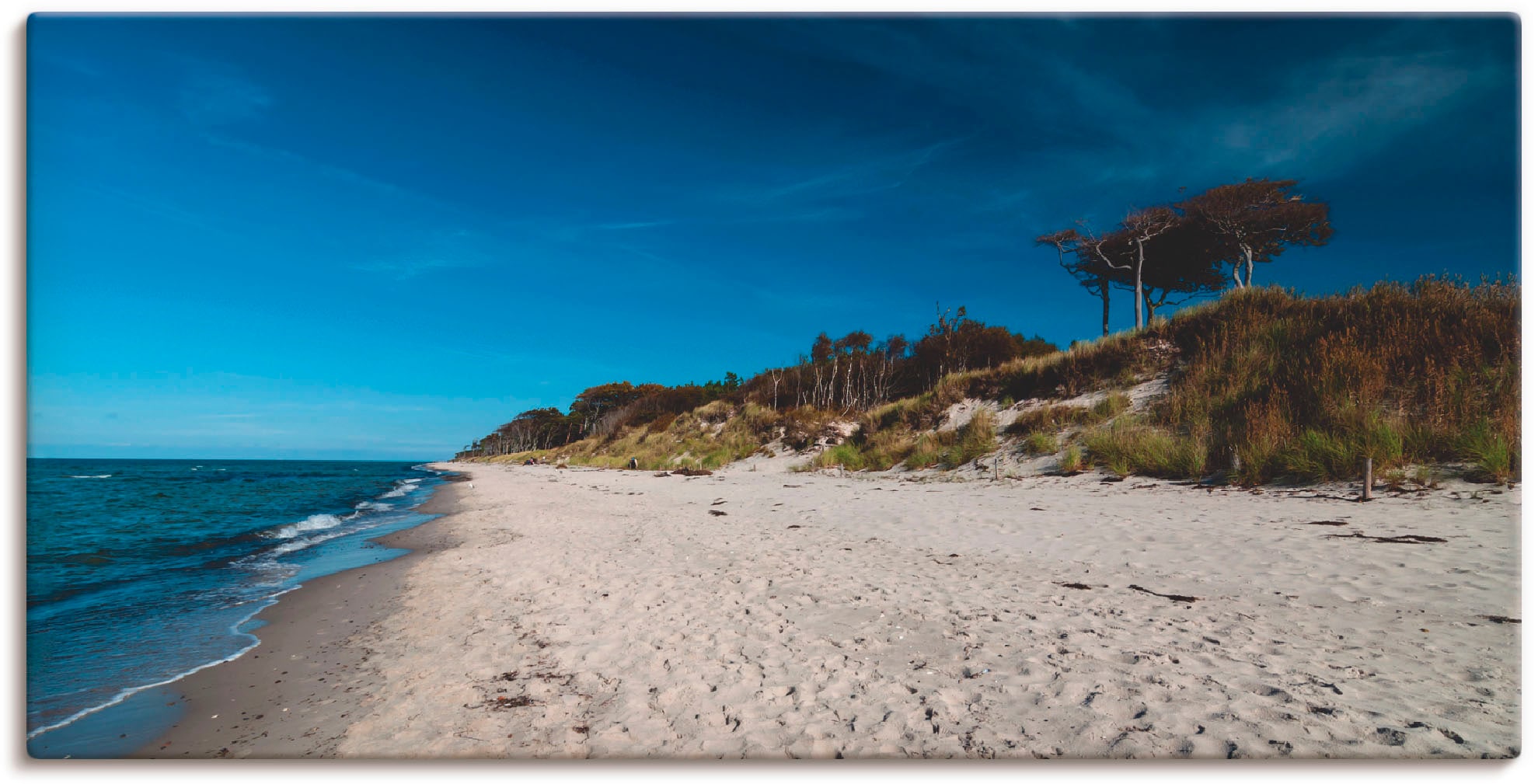 Image of Artland Leinwandbild "Am Weststrand- Ostsee - Darss" Strand 1 Stk. tlg. auf Holzrahmen gespannt