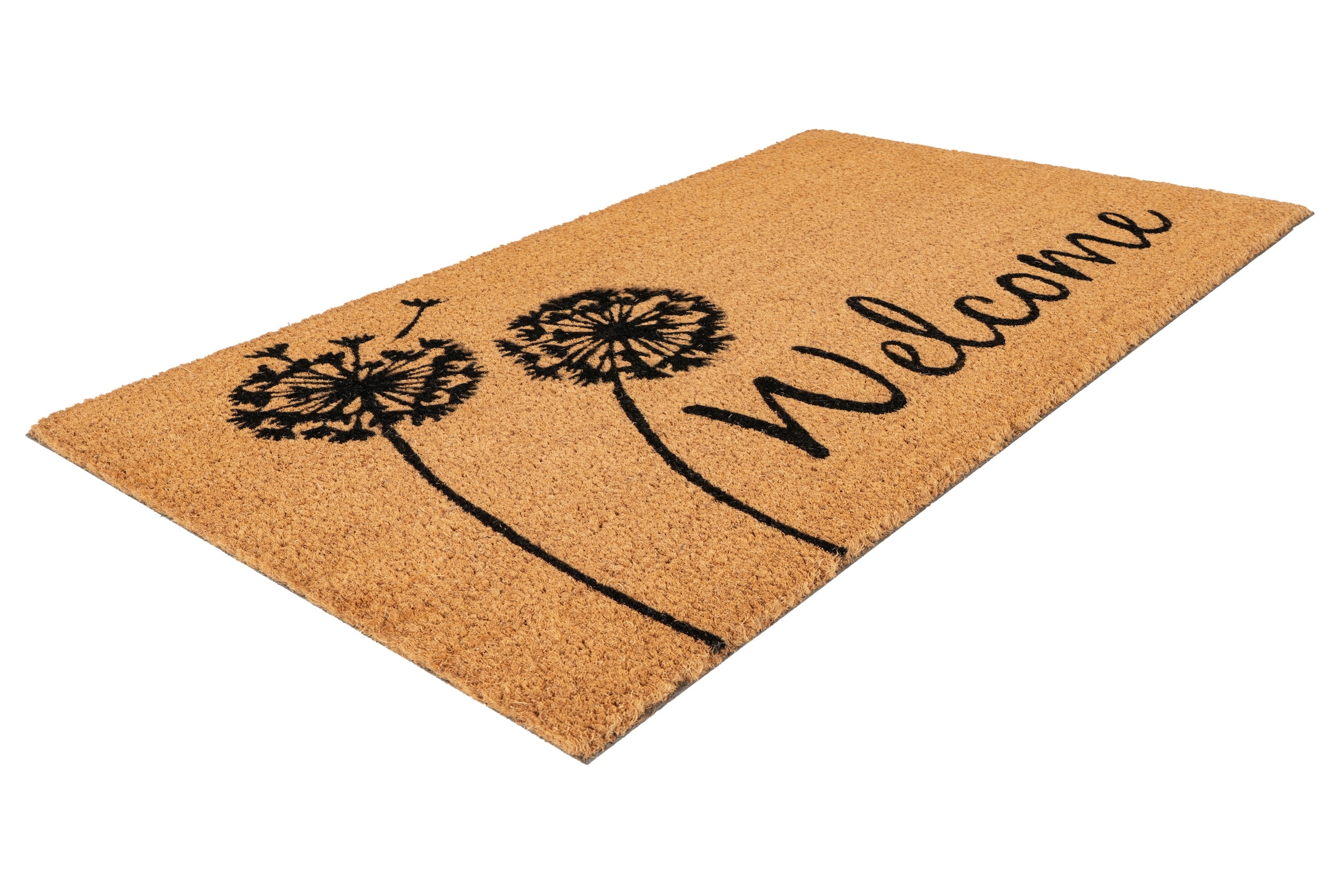 Kayoom Tapis de sol »Natural Guard 225« Rectangulaire 17,5 mm Höhe Türmatte, Eingang, Kokos