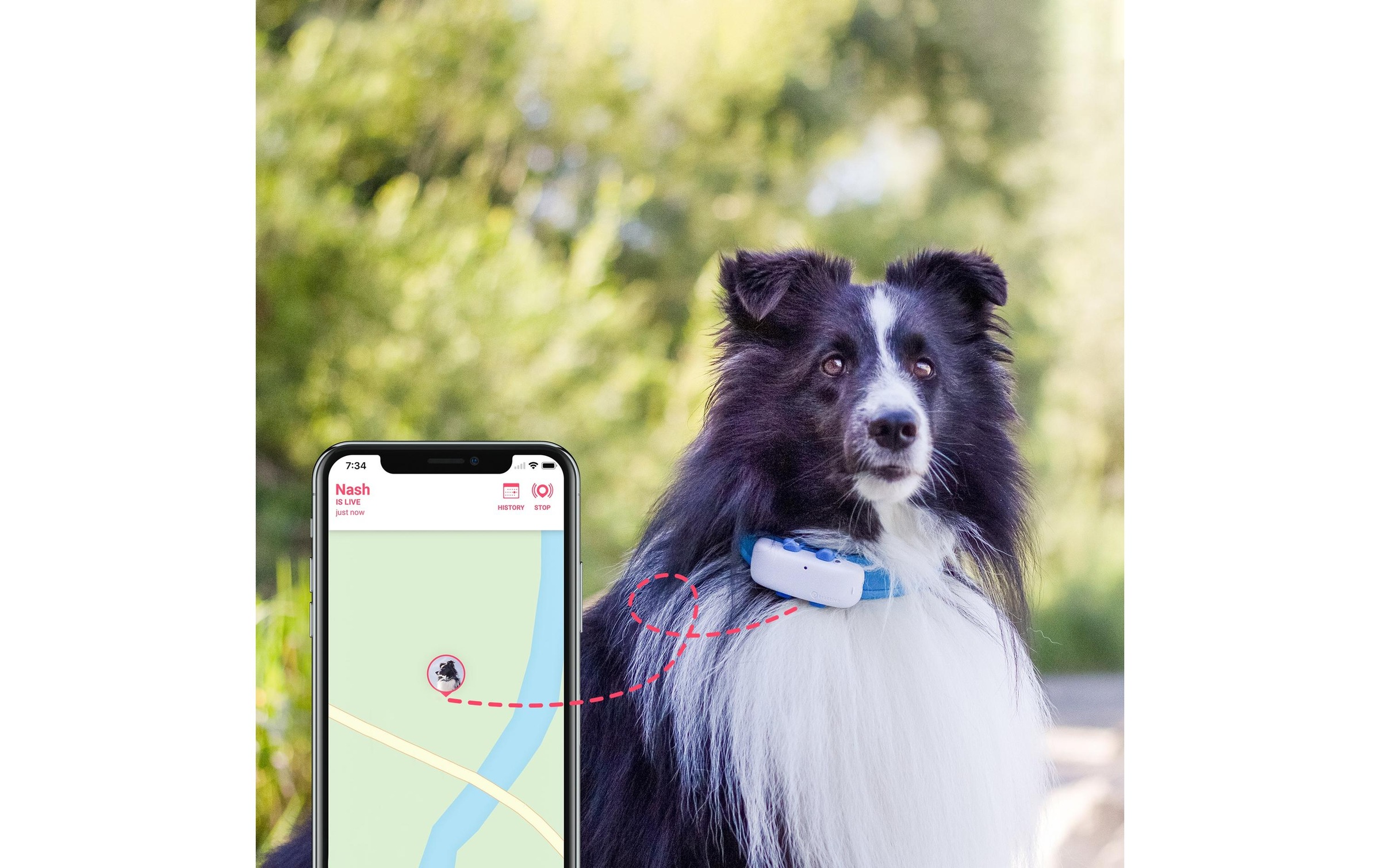 Tractive GPS-Tracker »Hunde GPS DOG LTE«