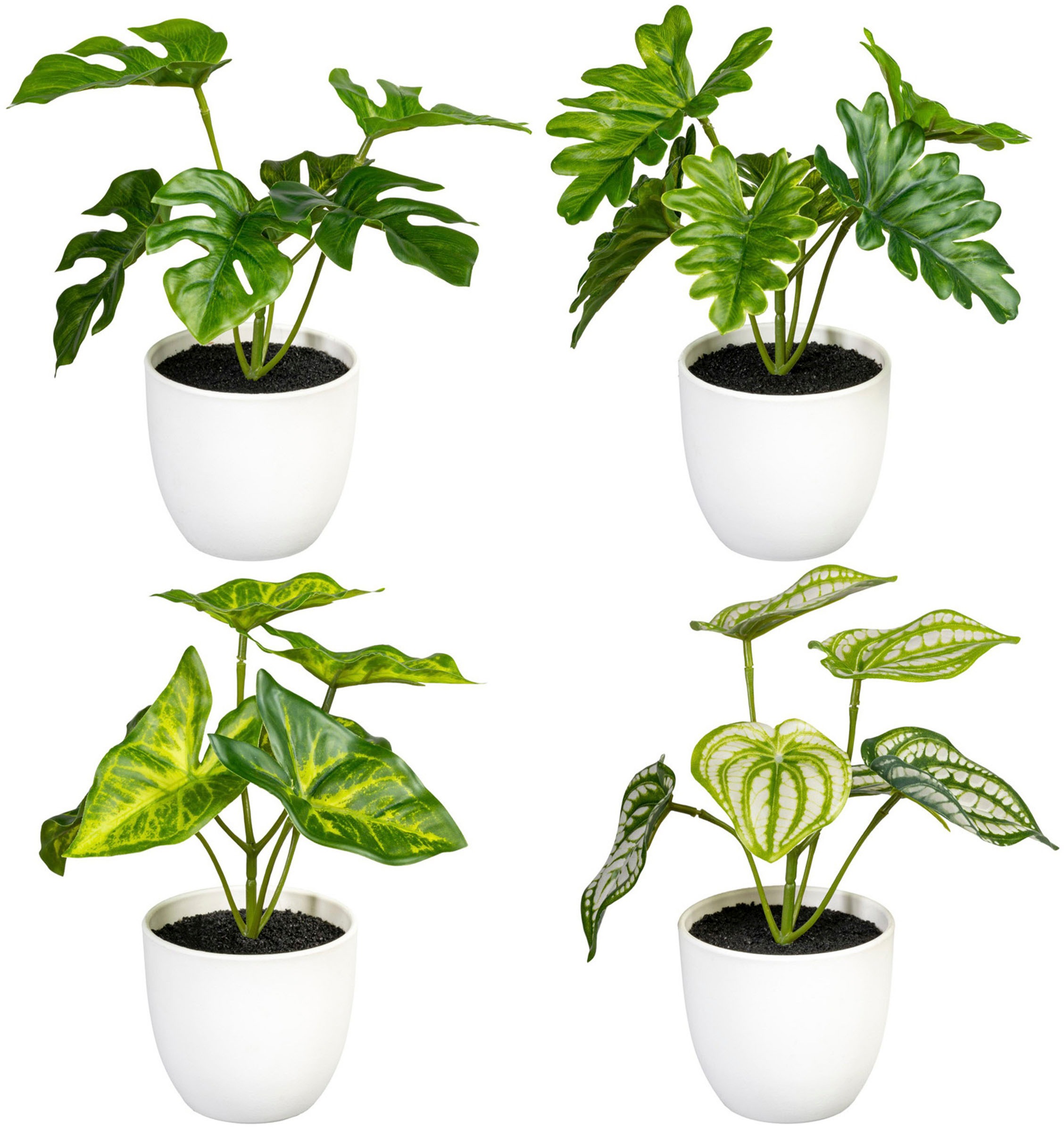 Image of Creativ green Künstliche Zimmerpflanze »Grünpflanzen-Mix«, (4 St.), im 4er Set bei Ackermann Versand Schweiz