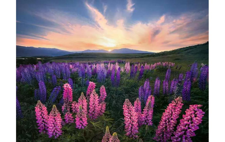 Ravensburger Puzzle »Lupinen 500 Teile«