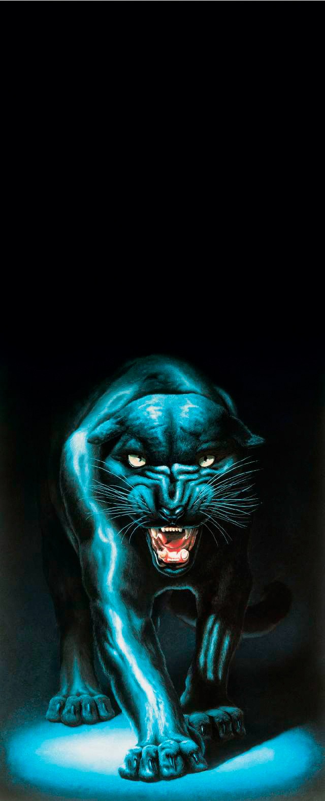 Image of Papermoon Fototapete »Panther - Türtapete«, matt, Vlies, 2 Bahnen, 90 x 200 cm bei Ackermann Versand Schweiz