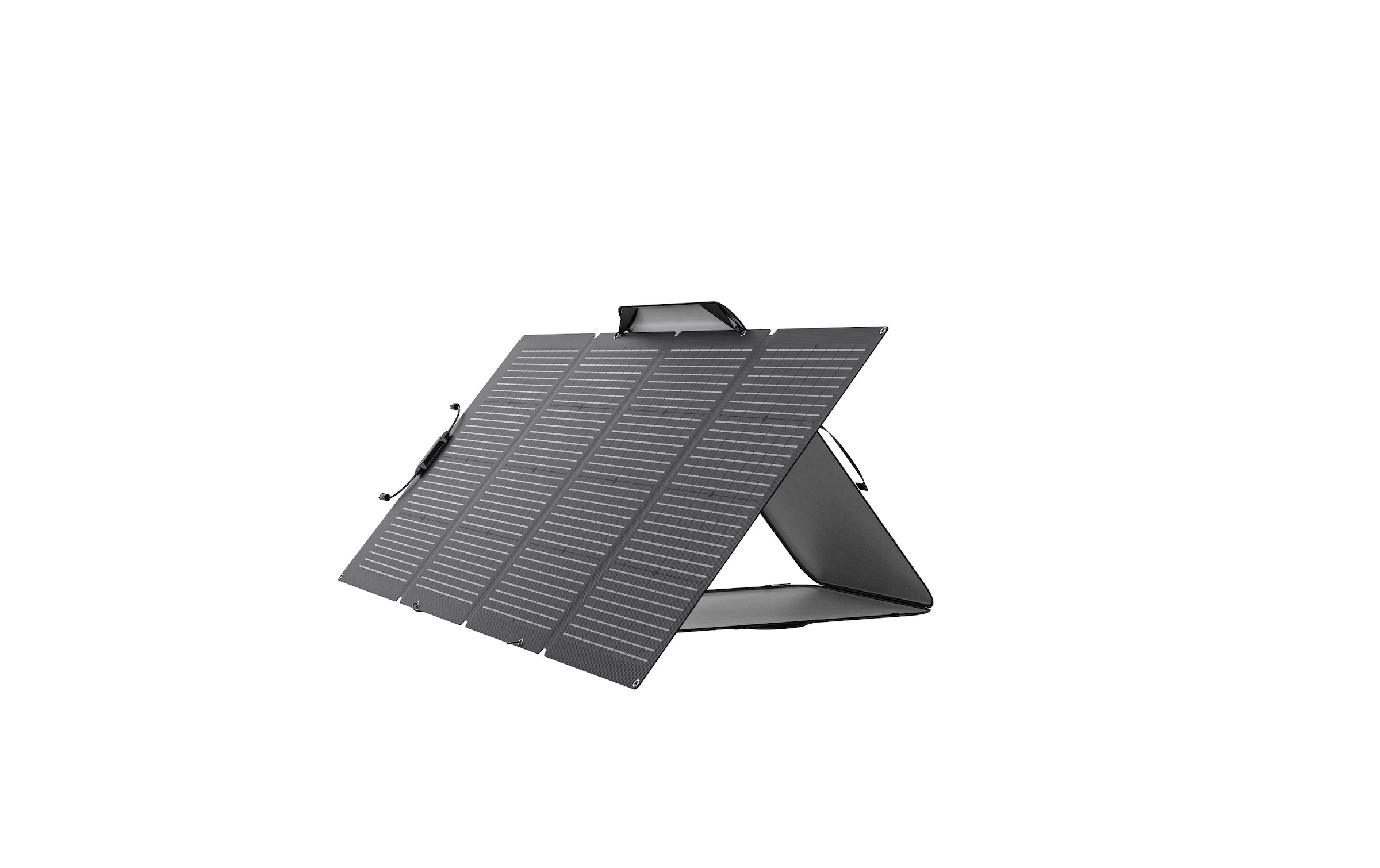 Ecoflow Solarmodul »faltbar, MC4, Schwarz 220 W«