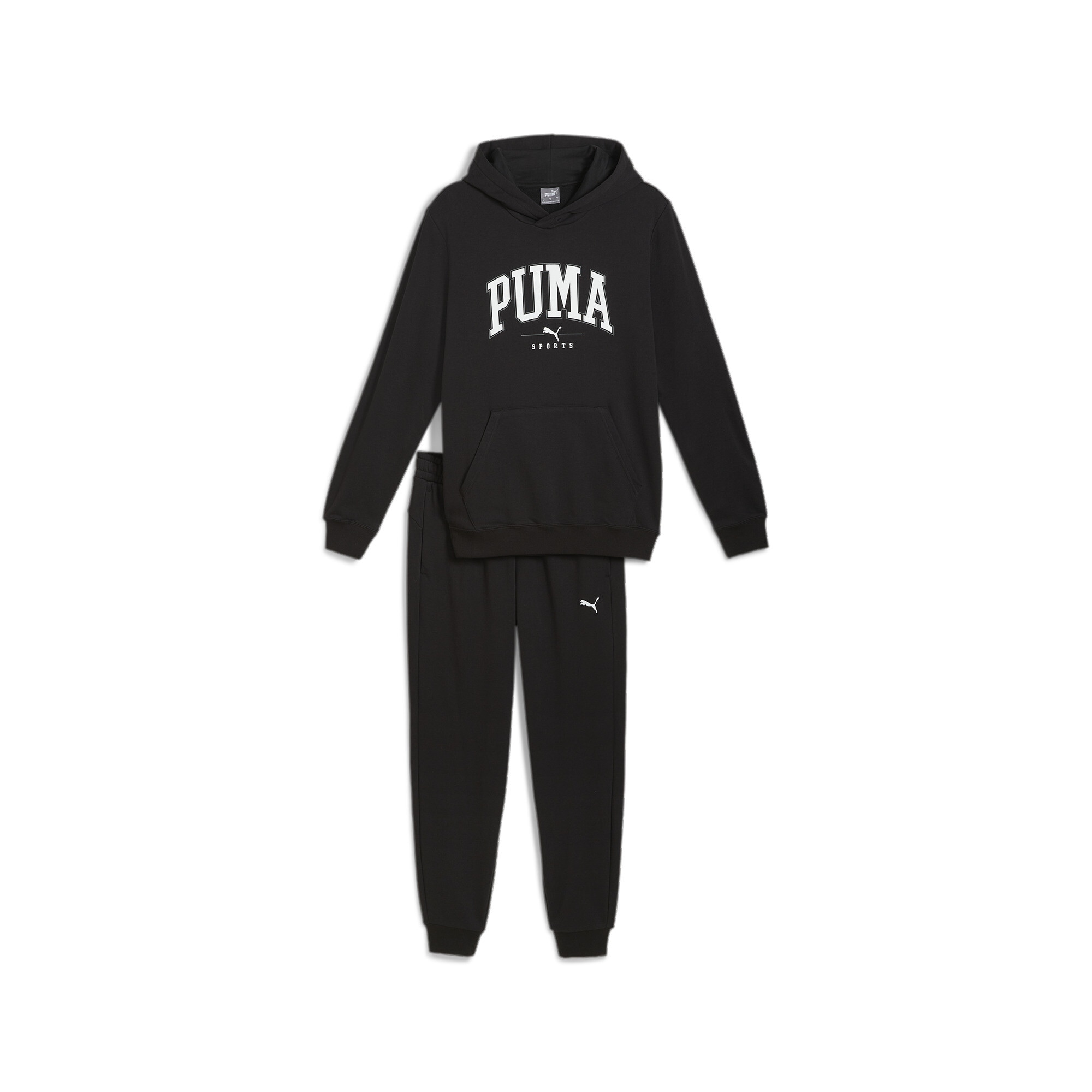 PUMA Trainingsanzug »SQUAD HOODED SUIT TR«, (2 tlg.)