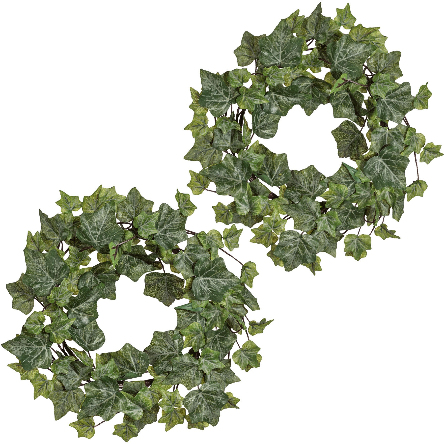 Image of Creativ green Kunstkranz »Efeukranz mit englischem Blatt«, (2 St.), 2er Set bei Ackermann Versand Schweiz