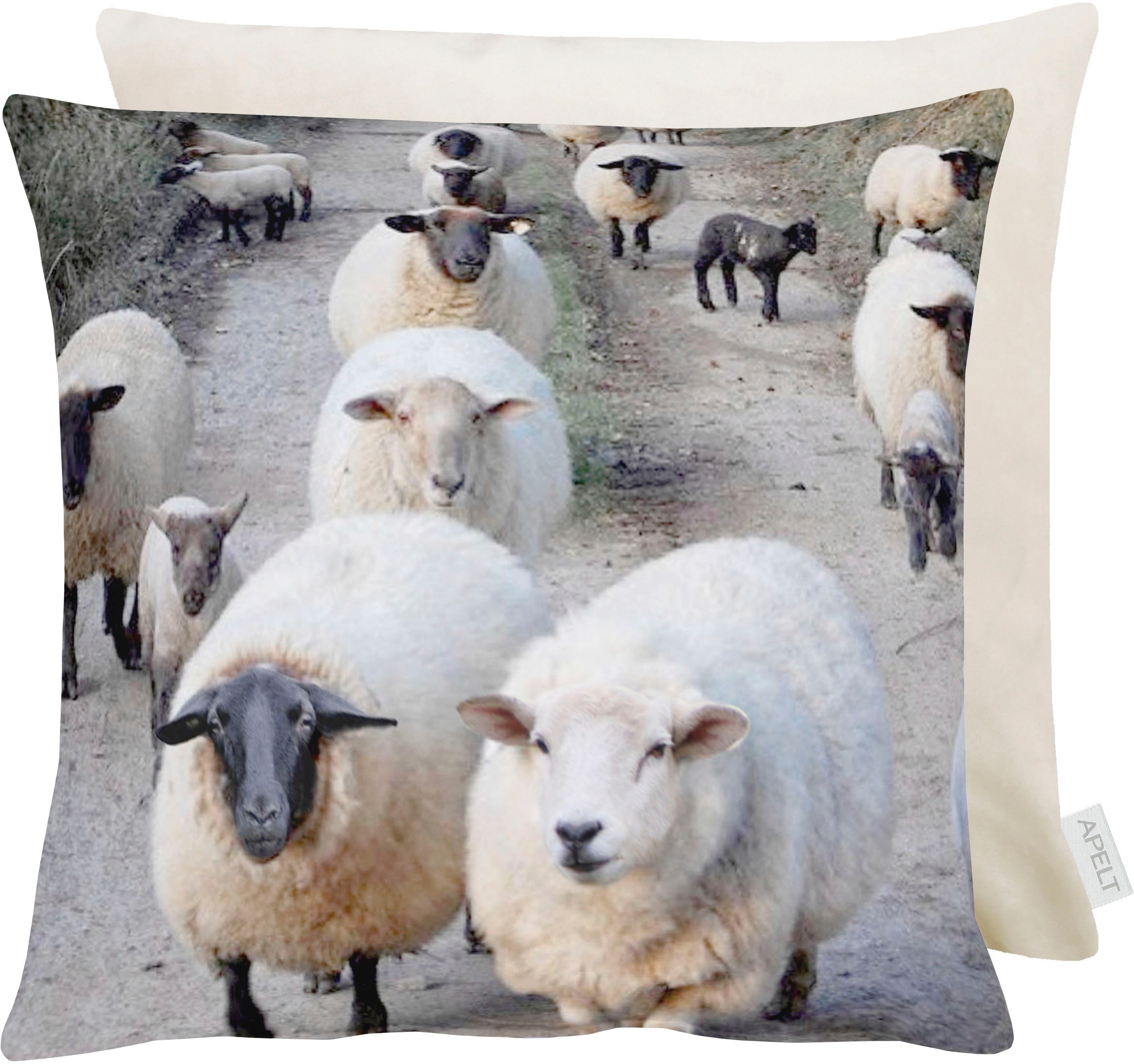 Image of APELT Dekokissen »5254«, (1 St.) bei Ackermann Versand Schweiz