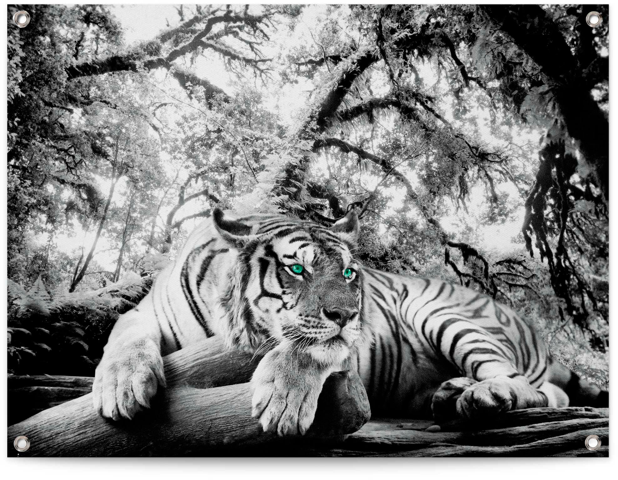 Image of Reinders Poster "Tigerblick"