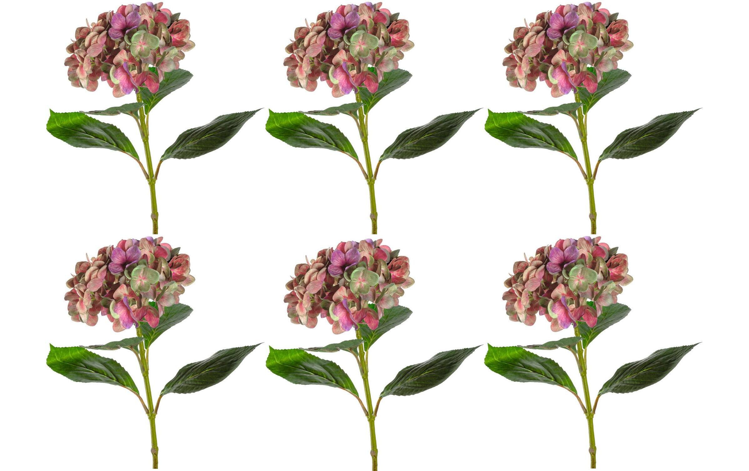 Image of LEONARDO Kunstblume »65 cm Hortensie« bei Ackermann Versand Schweiz