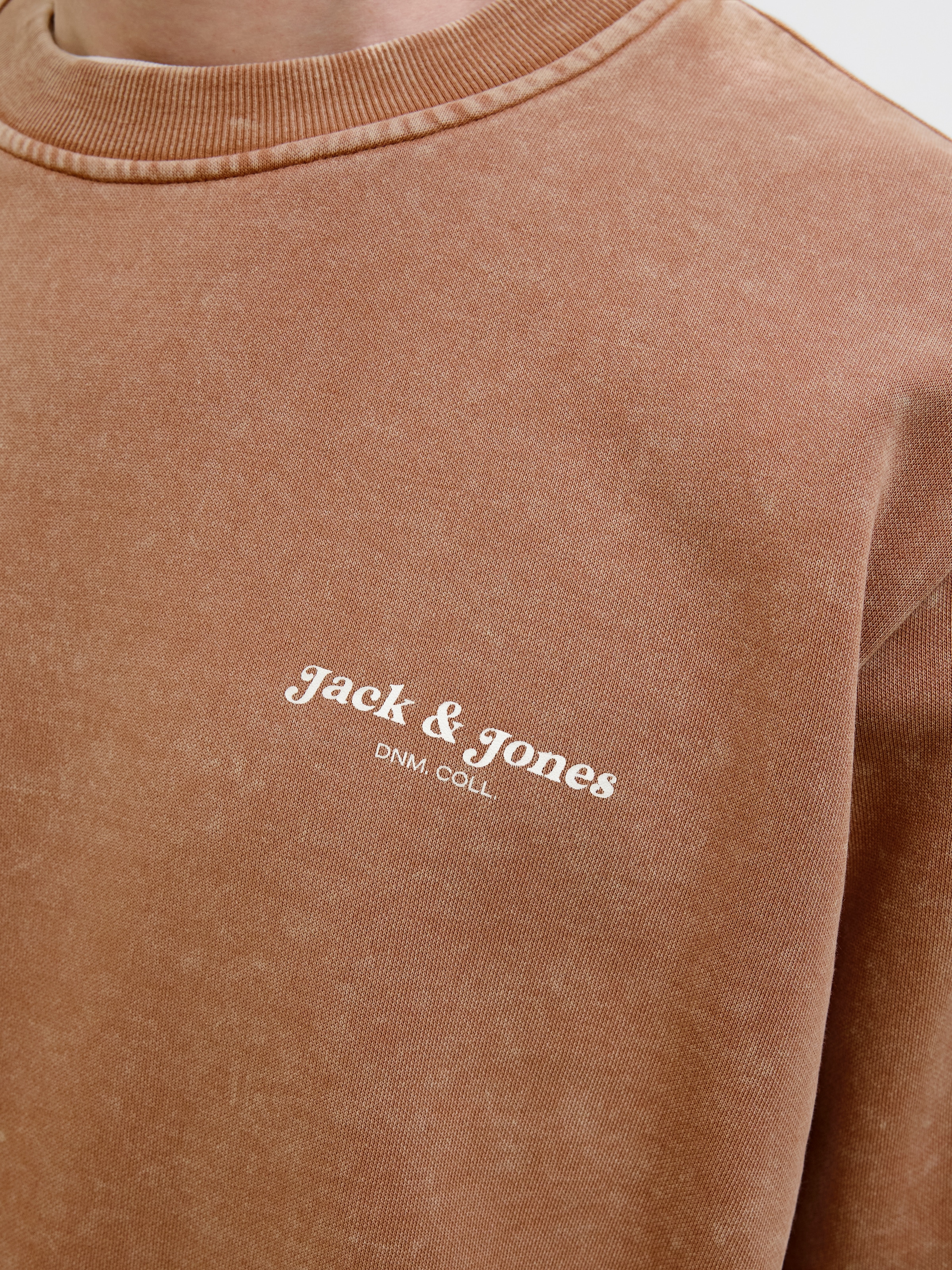Jack & Jones Sweatshirt »JJEDOVER PRINT SWEAT CREW NECK«
