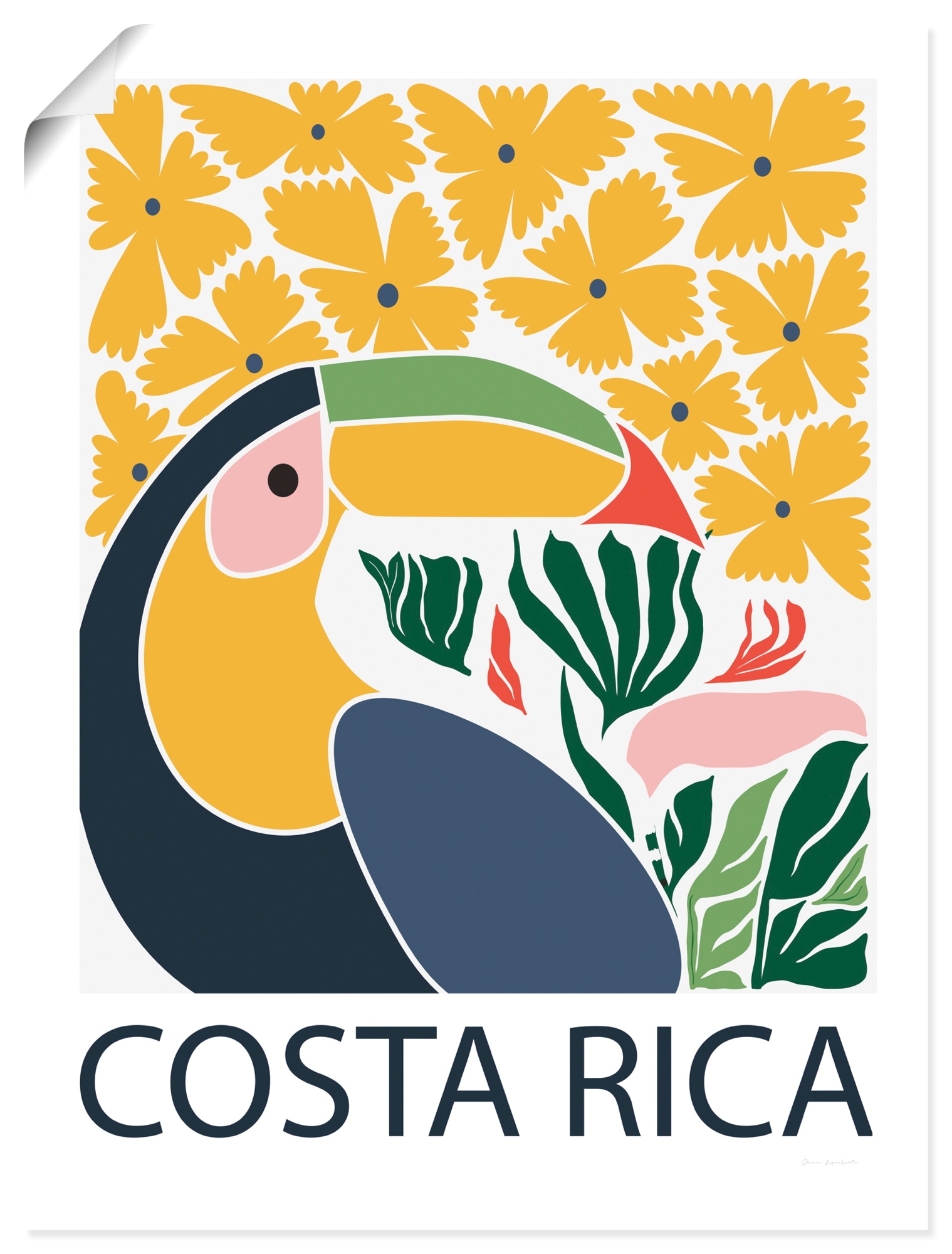 Image of Artland Wandbild "Costa Rica" Vogelbilder 1 Stk. tlg. als Alubild, Leinwandbild, Poster, Wandaufkleber in verschied. Grössen