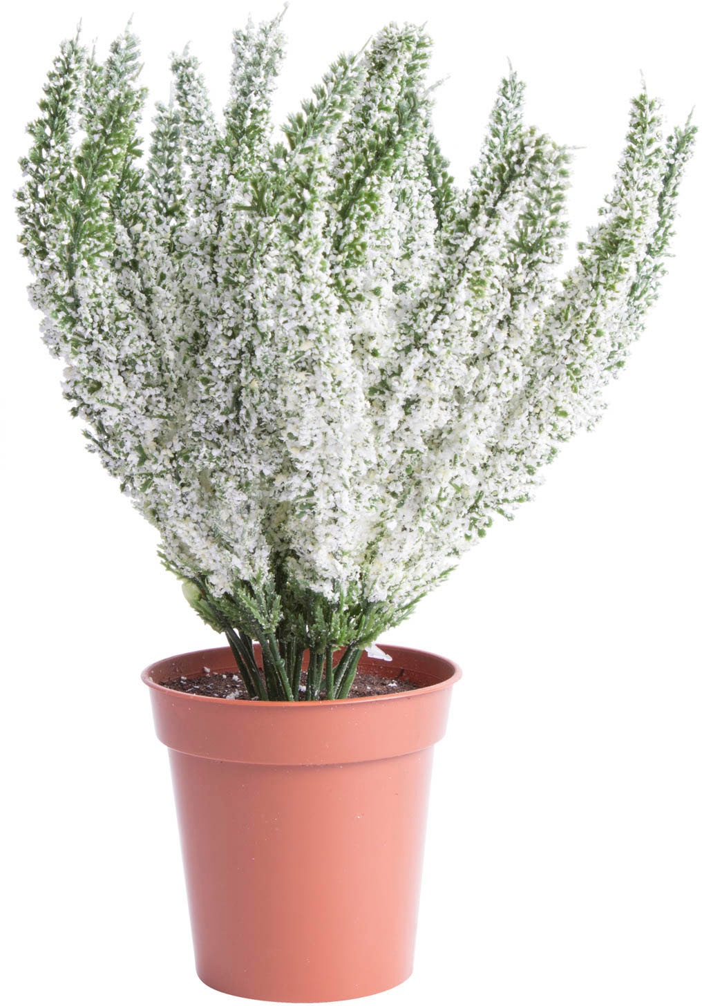 Image of Botanic-Haus Kunstblume »Erika in braunem Kunstofftopf«, (1 St.) bei Ackermann Versand Schweiz