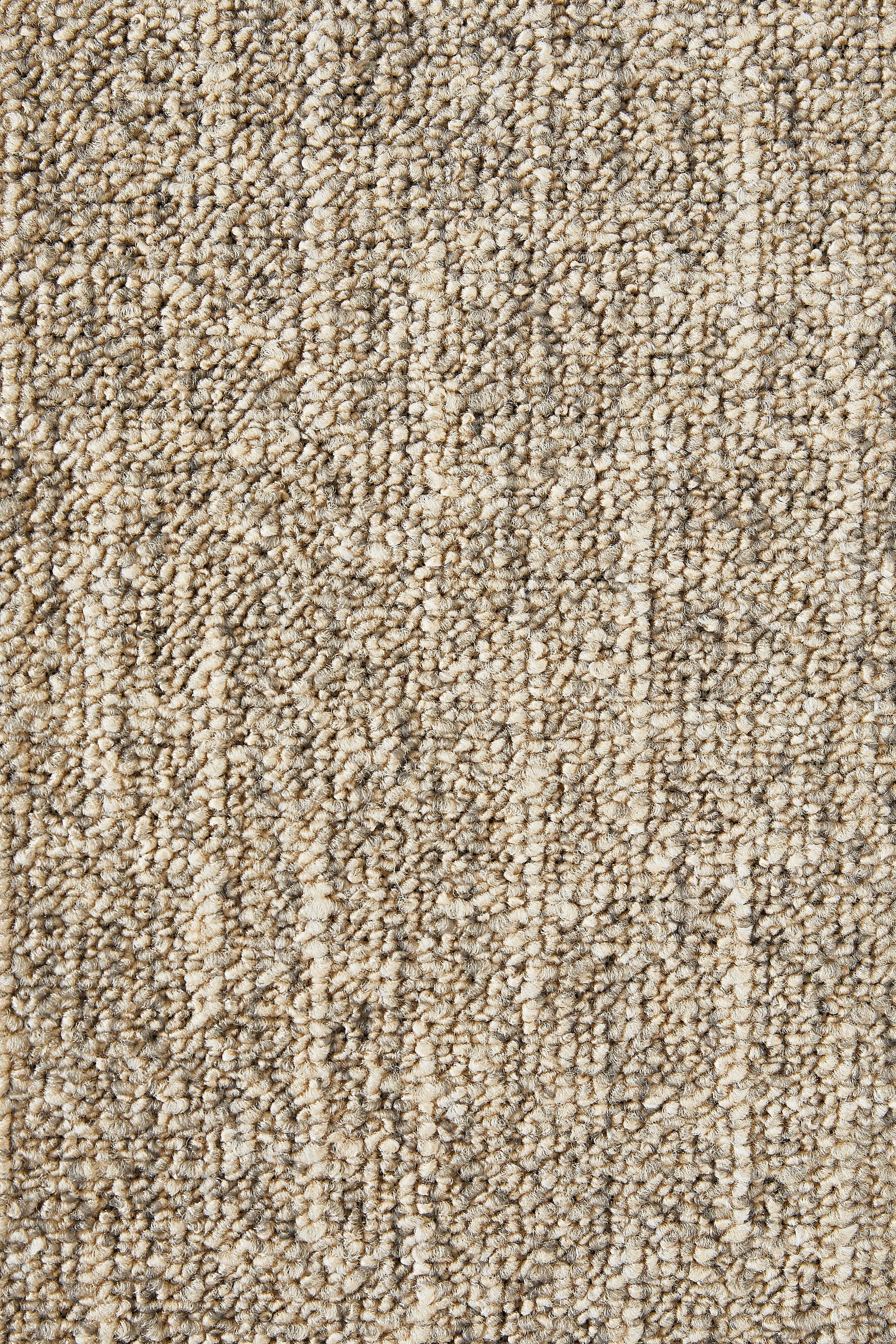 my home Teppichboden »Jamie, melierte Schlinge, Made in Netherlands«, rechteckig, 8 mm Höhe, Breite 400 cm, strapazierfähig, pflegeleicht, allergikerfreundlich