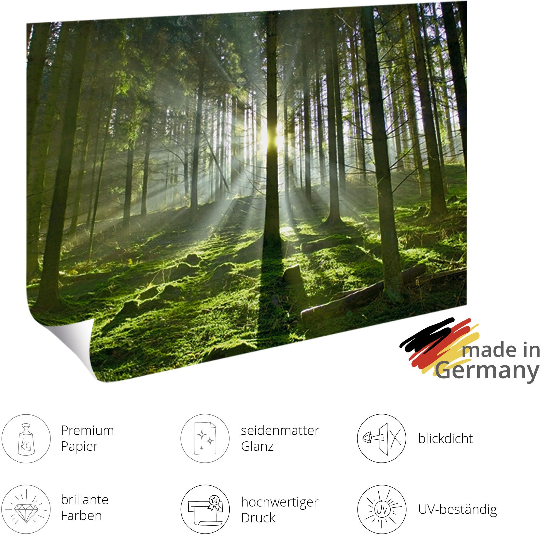 Artland Wandbild »Green field« Wiesen & Baumbilder 1 Stk. tlg. als Alubild, Leinwandbild, Poster, Wandaufkleber in verschied. Grössen