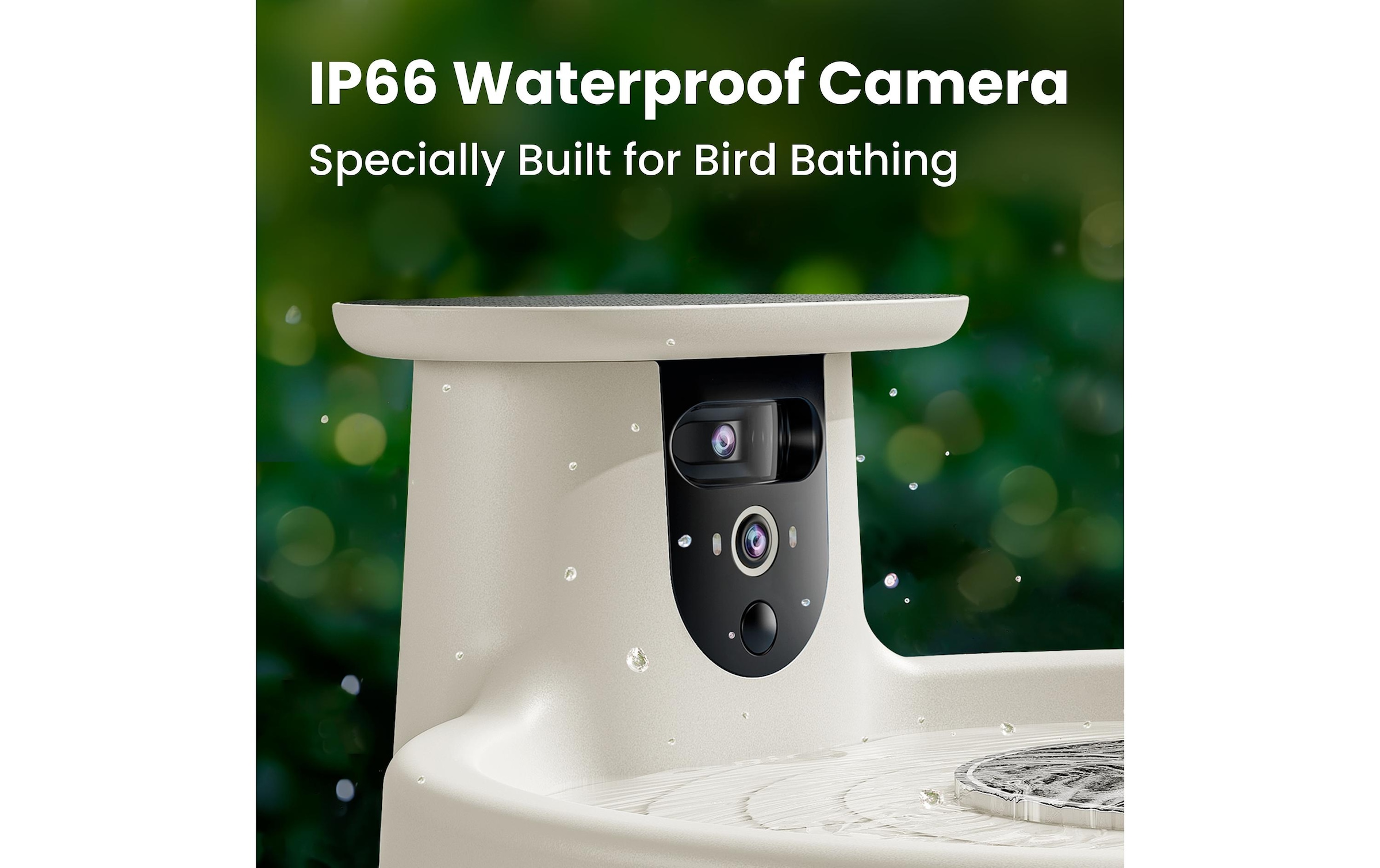 Birdfy Vogeltränke »Vogelbad mit Kamera« Solarbetrieben, KI und Video Vogelerkennung