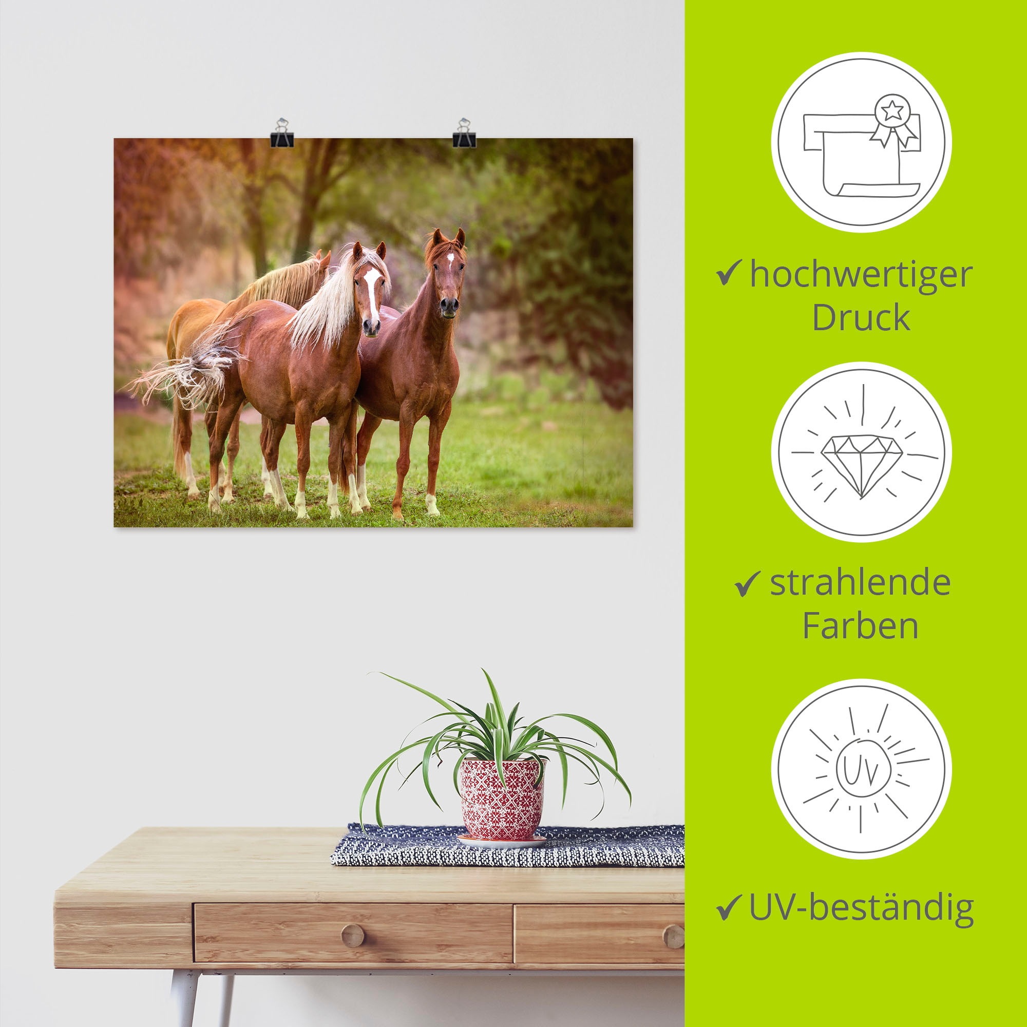 Artland Wandbild »Pferde in den Feldern I«, Haustiere, (1 St.), als Leinwandbild, Poster, Wandaufkleber in verschied. Grössen