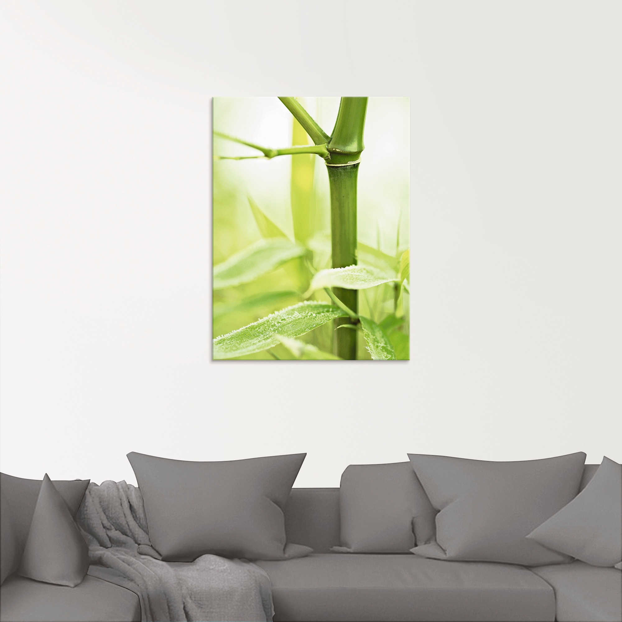 Artland Glasbild »Bambus Zweig«, Gräser, (1 St.), in verschiedenen Grössen