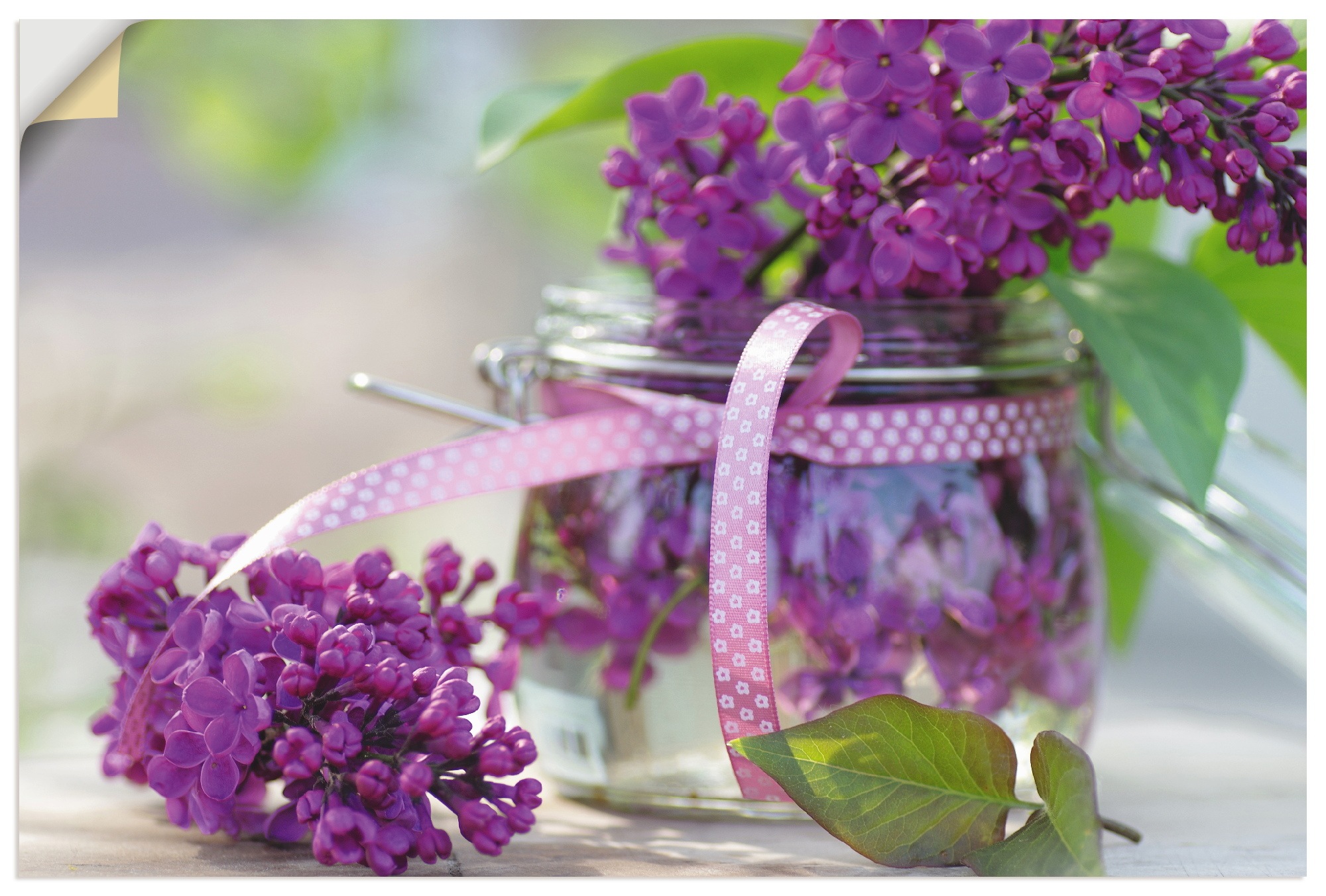 Image of Artland Wandbild »Flieder Strauss«, Blumen, (1 St.), in vielen Grössen & Produktarten - Alubild / Outdoorbild für den Aussenbereich, Leinwandbild, Poster, Wandaufkleber / Wandtattoo auch für Badezimmer geeignet bei Ackermann Versand Schweiz