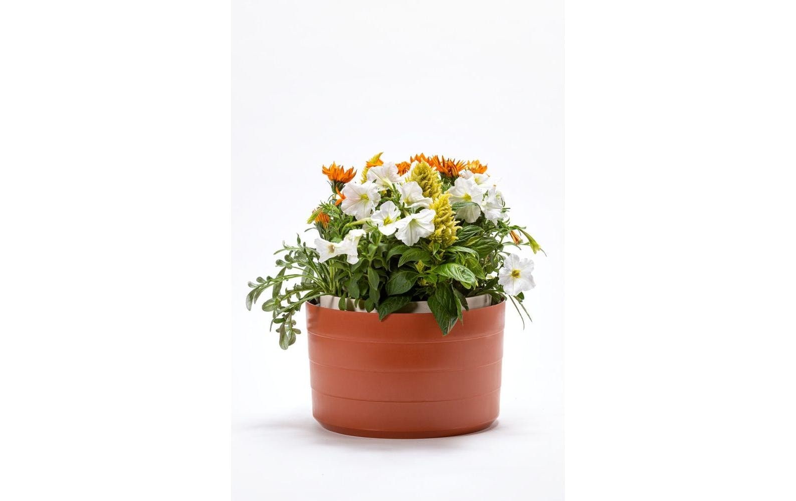  Blumenampel »Plastia Berberis 26 cm drei Bänder«