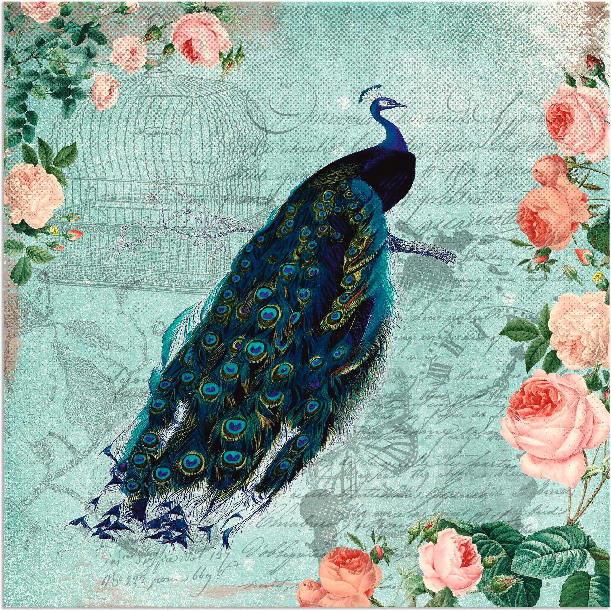 Image of Artland Wandbild »Vintage Rosen und Pfau Illustration«, Vögel, (1 St.), in vielen Grössen & Produktarten - Alubild / Outdoorbild für den Aussenbereich, Leinwandbild, Poster, Wandaufkleber / Wandtattoo auch für Badezimmer geeignet bei Ackermann Versand Sch
