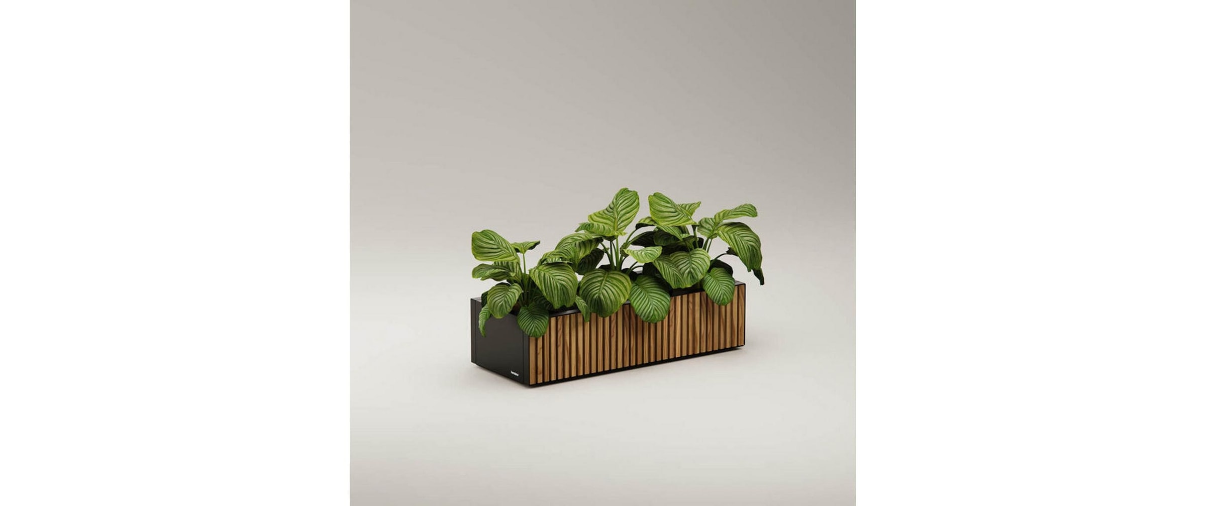 Herstera Garden Pflanzkübel »Xic 100 x 40 x 25 cm«