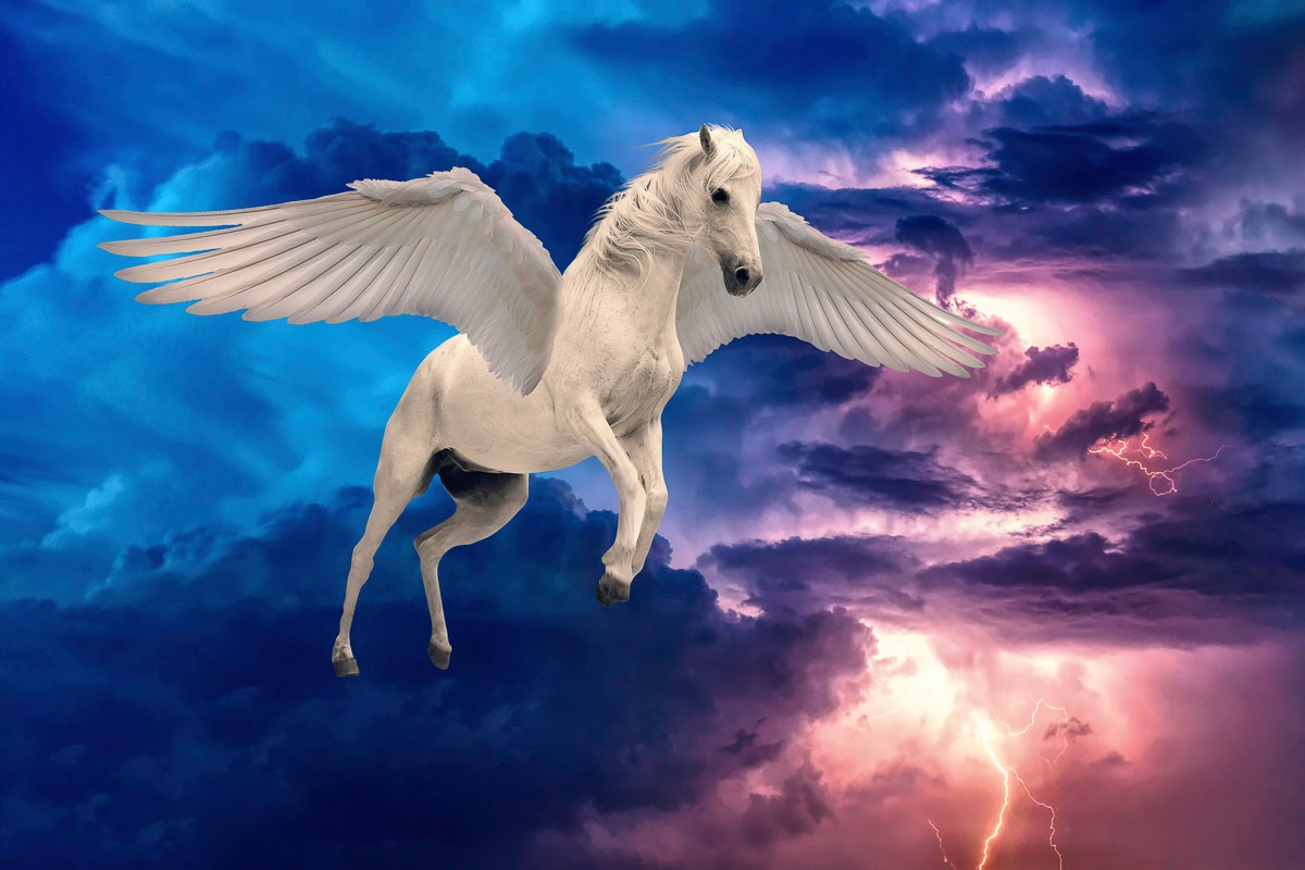 Image of Papermoon Fototapete »Pegasus«, Vliestapete, hochwertiger Digitaldruck, inklusive Kleister bei Ackermann Versand Schweiz