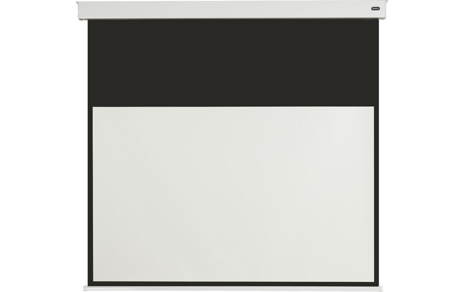 Celexon Motorleinwand »Batterie V2.0 Motor Pro Plus 300x169 cm«